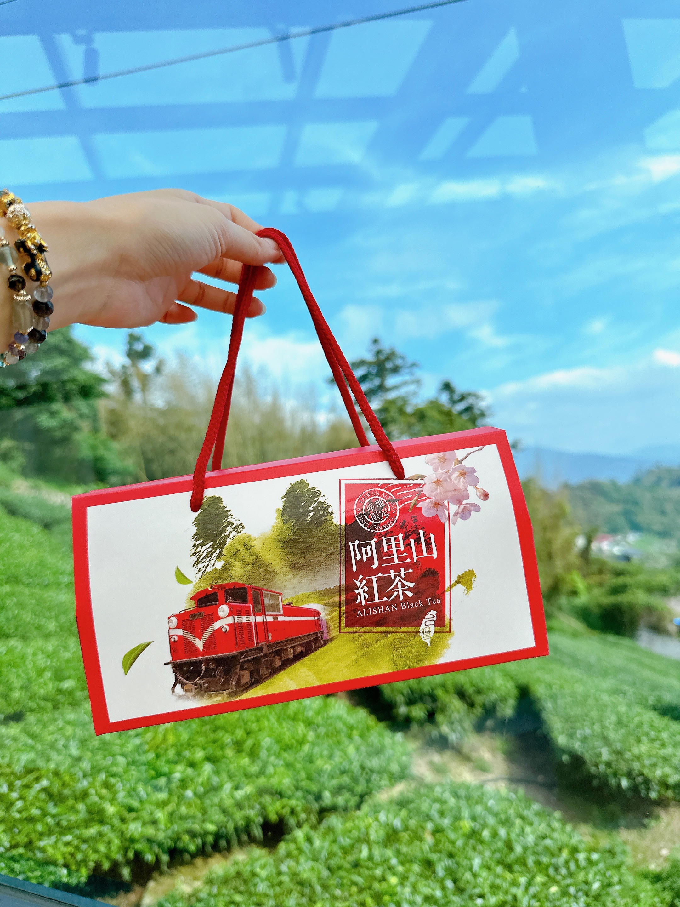 茶葉/茶包/三角立體茶包