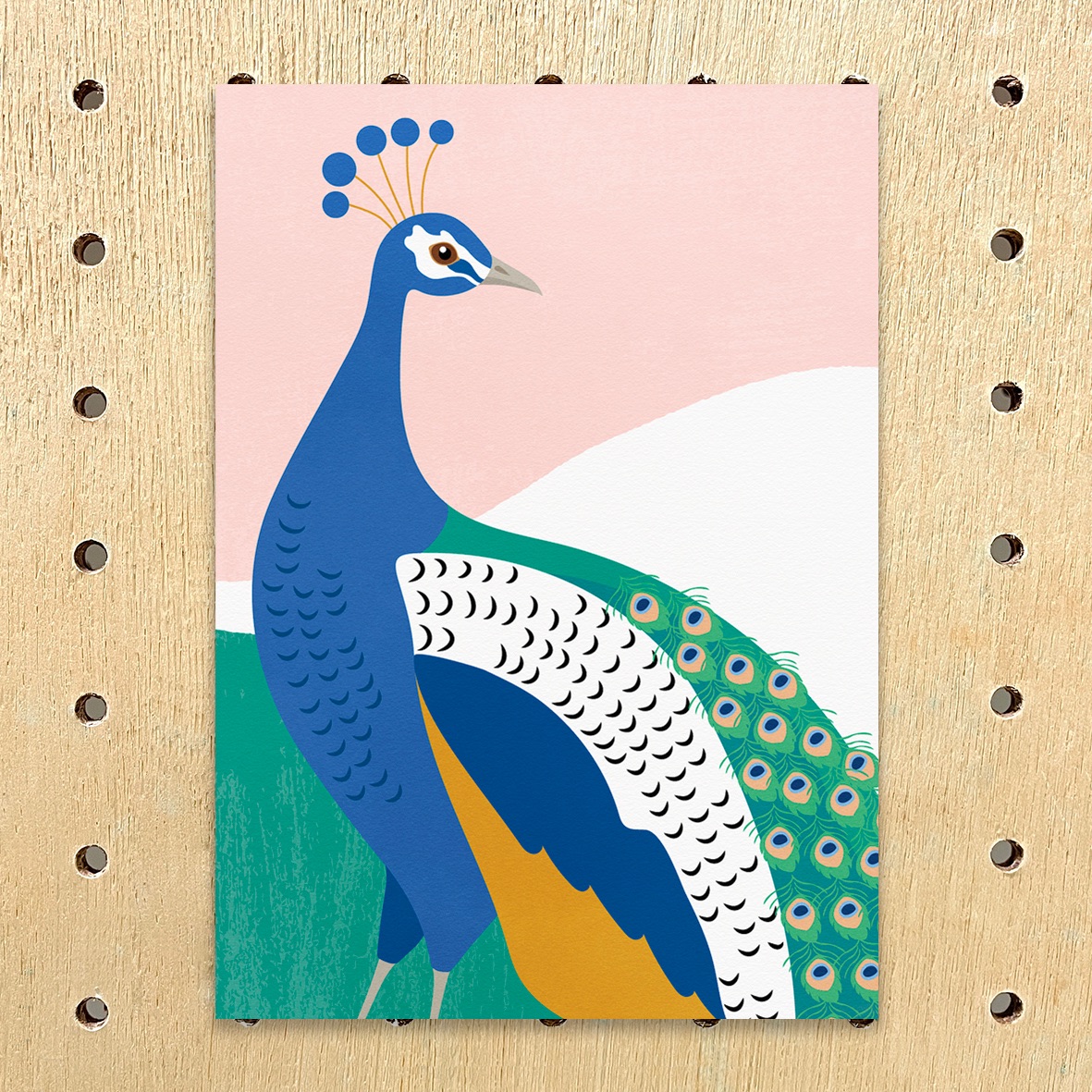 明信片- 鳥類、魚類篇