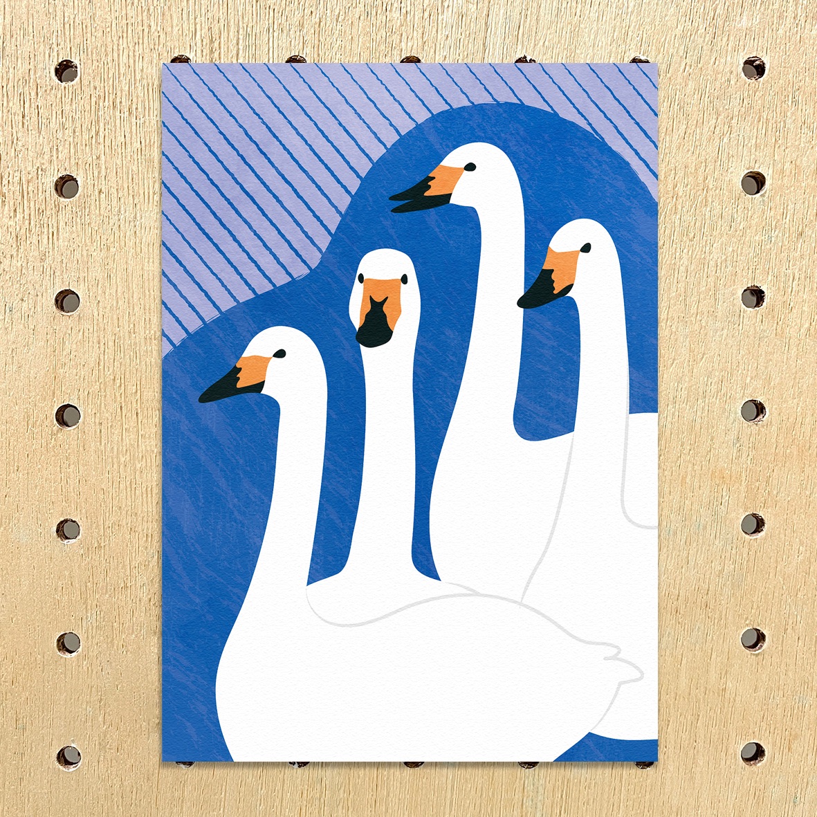 明信片- 鳥類、魚類篇