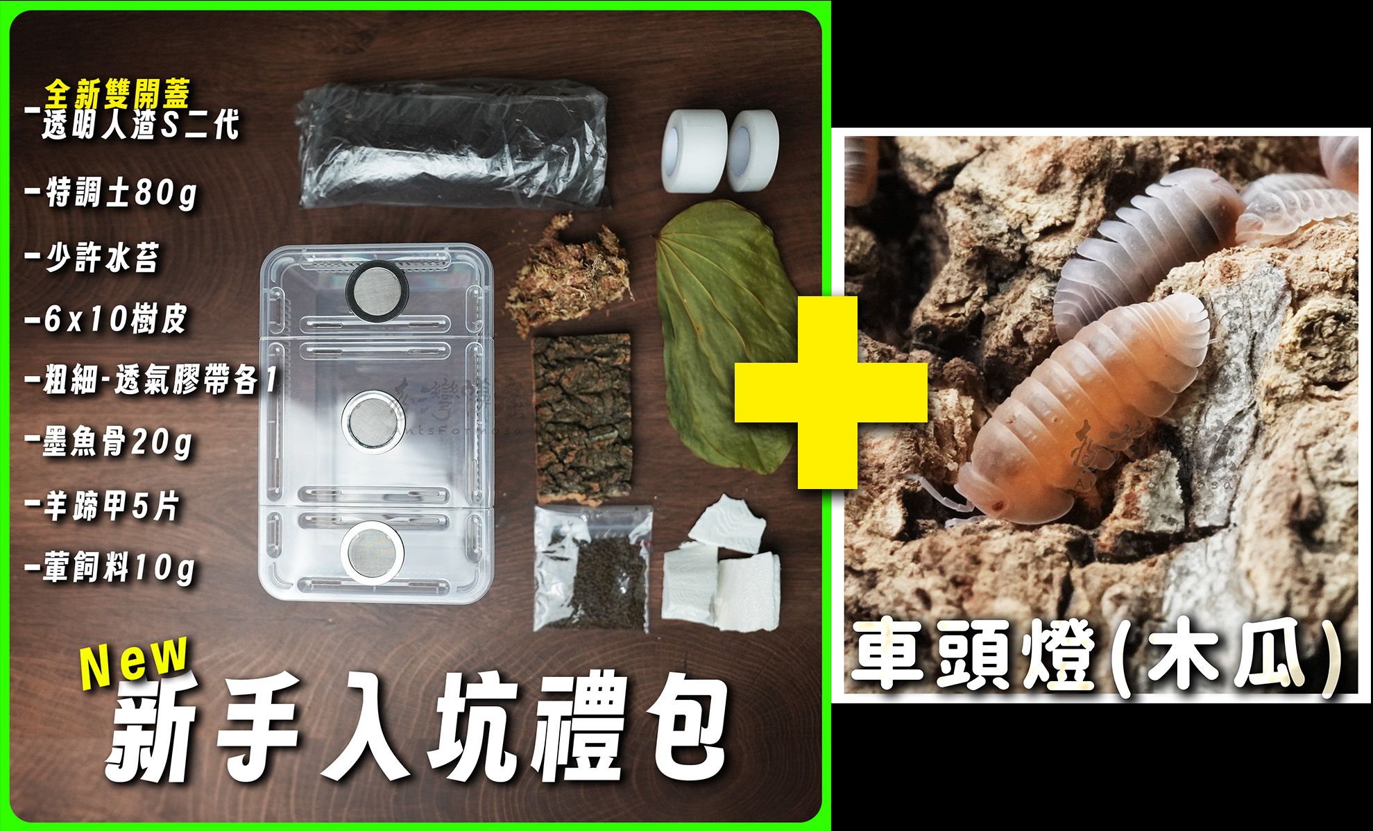新手入坑禮包+指定鼠婦折50