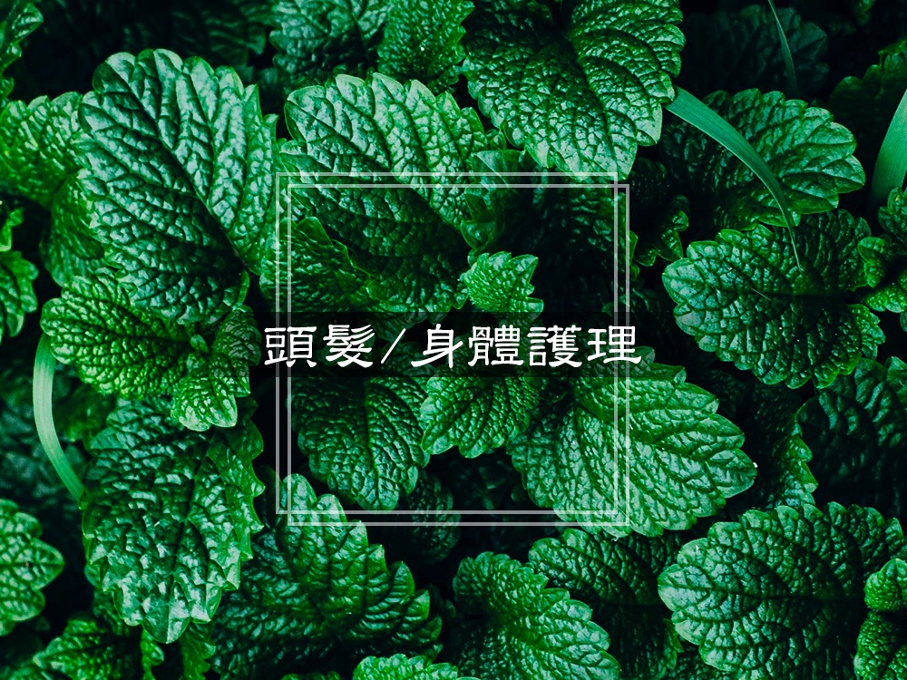 頭髮/身體護理