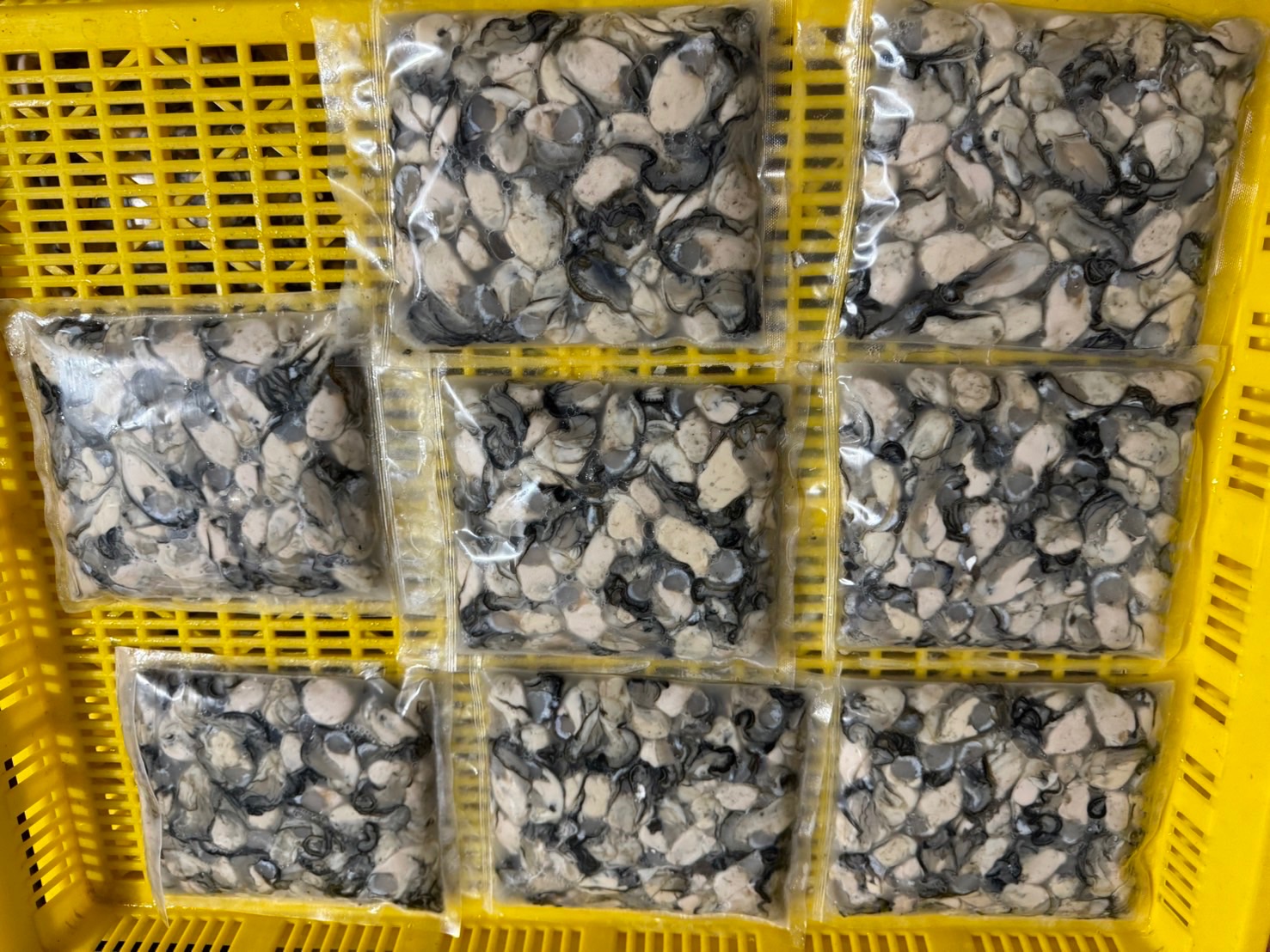 澎湖鮮蚵牡蠣（已去殼取肉，300g/包）