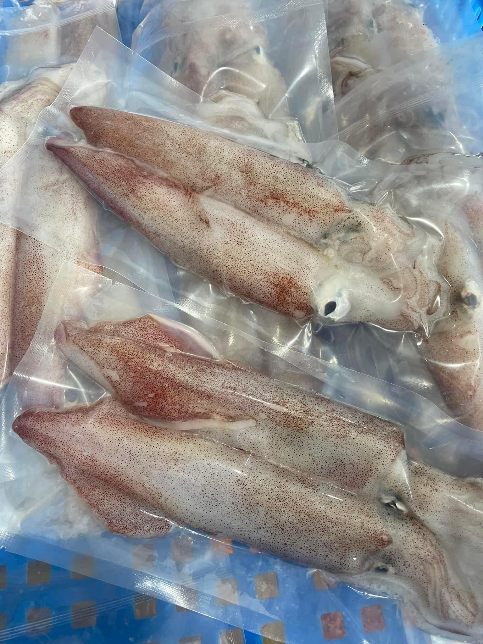 澎湖2號中卷