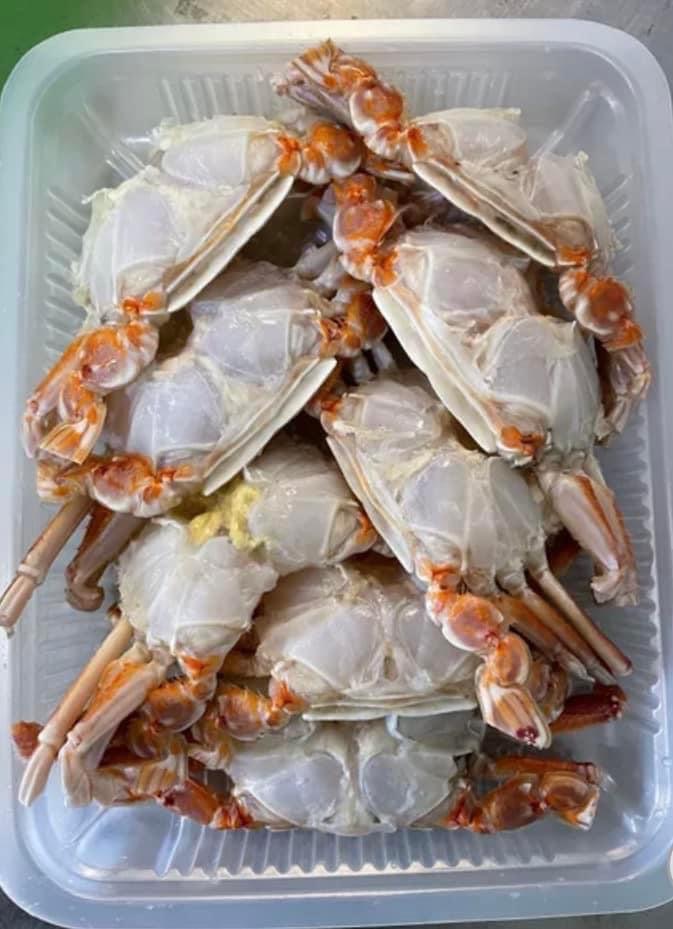 澎湖扁蟹蟹身