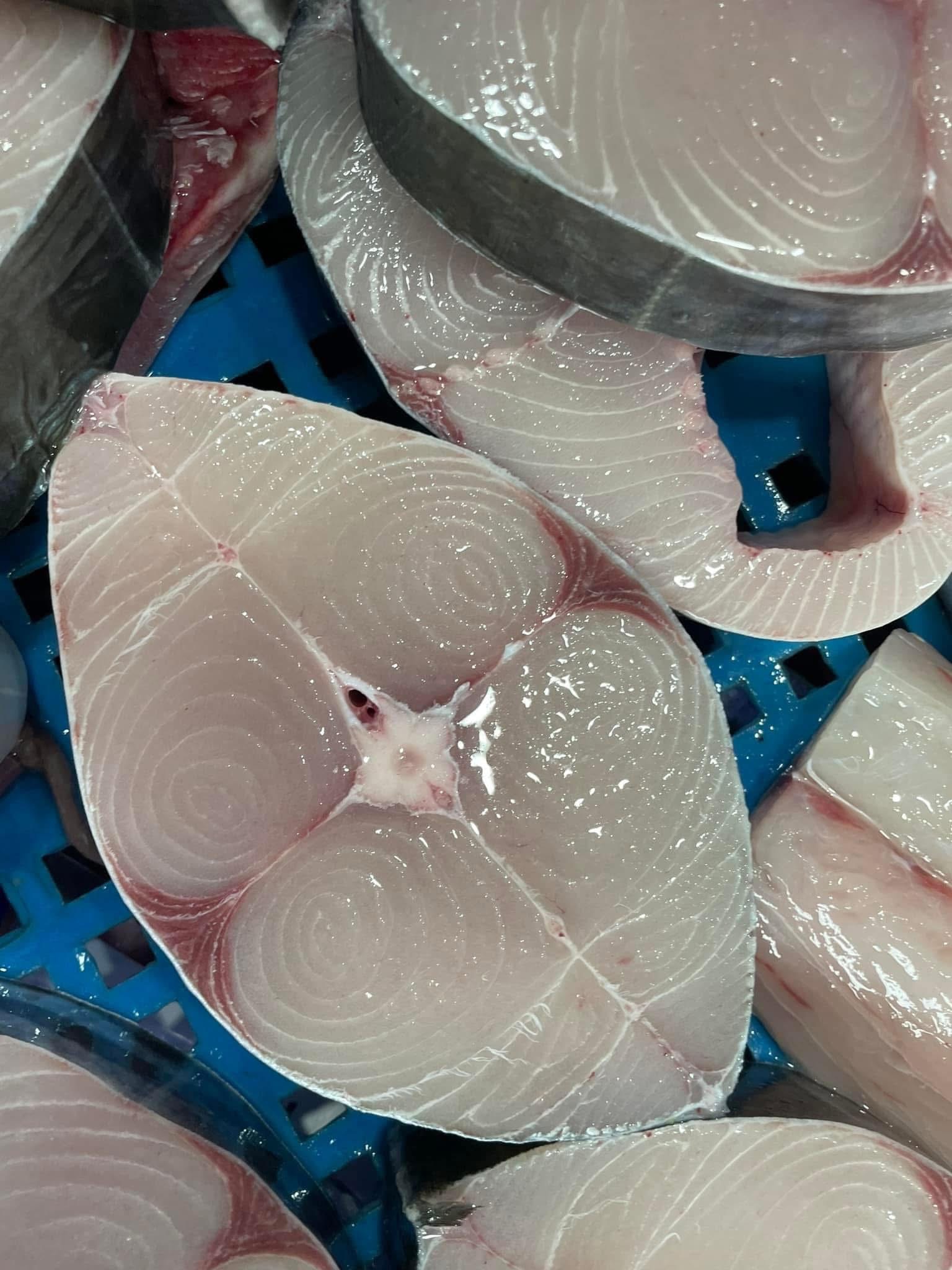 澎湖「船釣」土魠魚