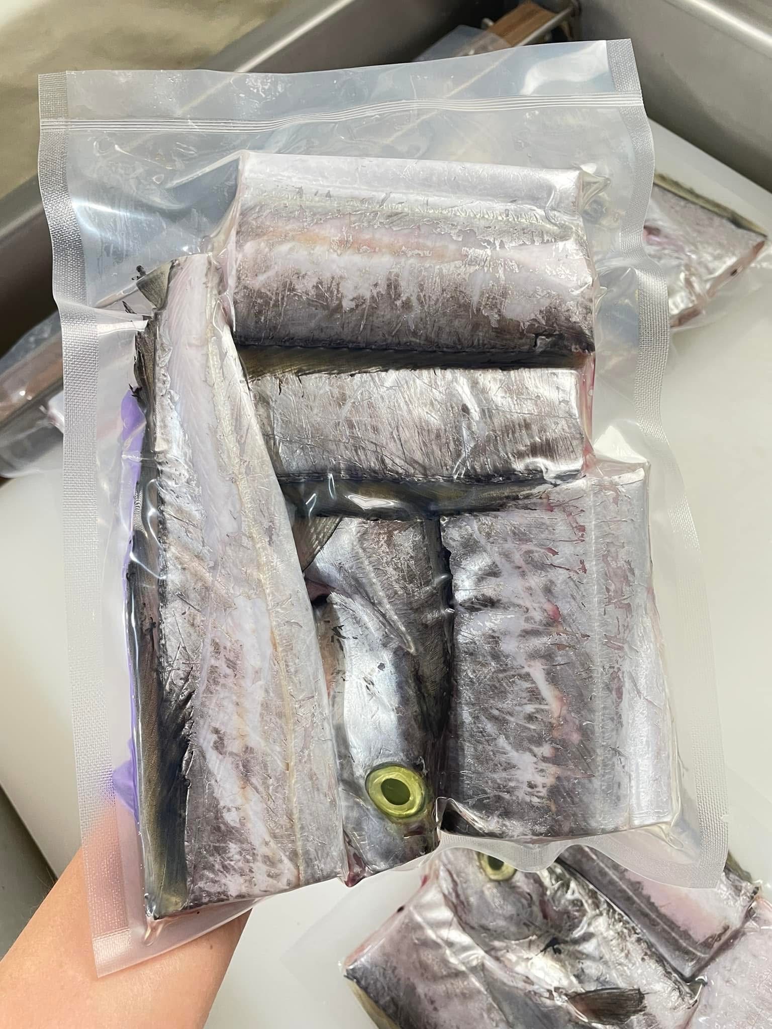 大油帶魚