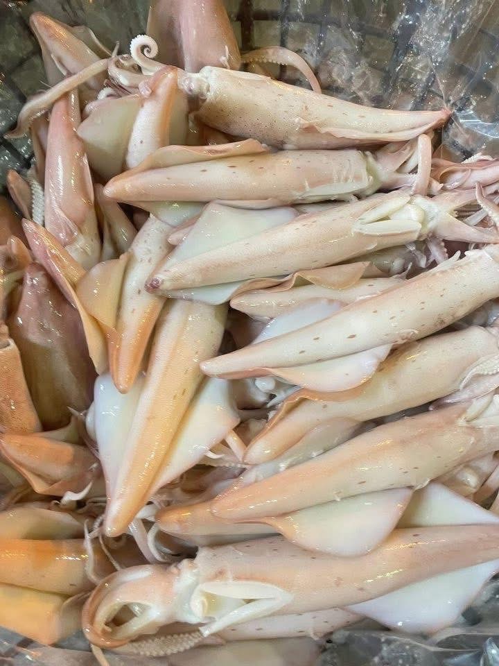 澎湖船釣熟冰卷（無卵）