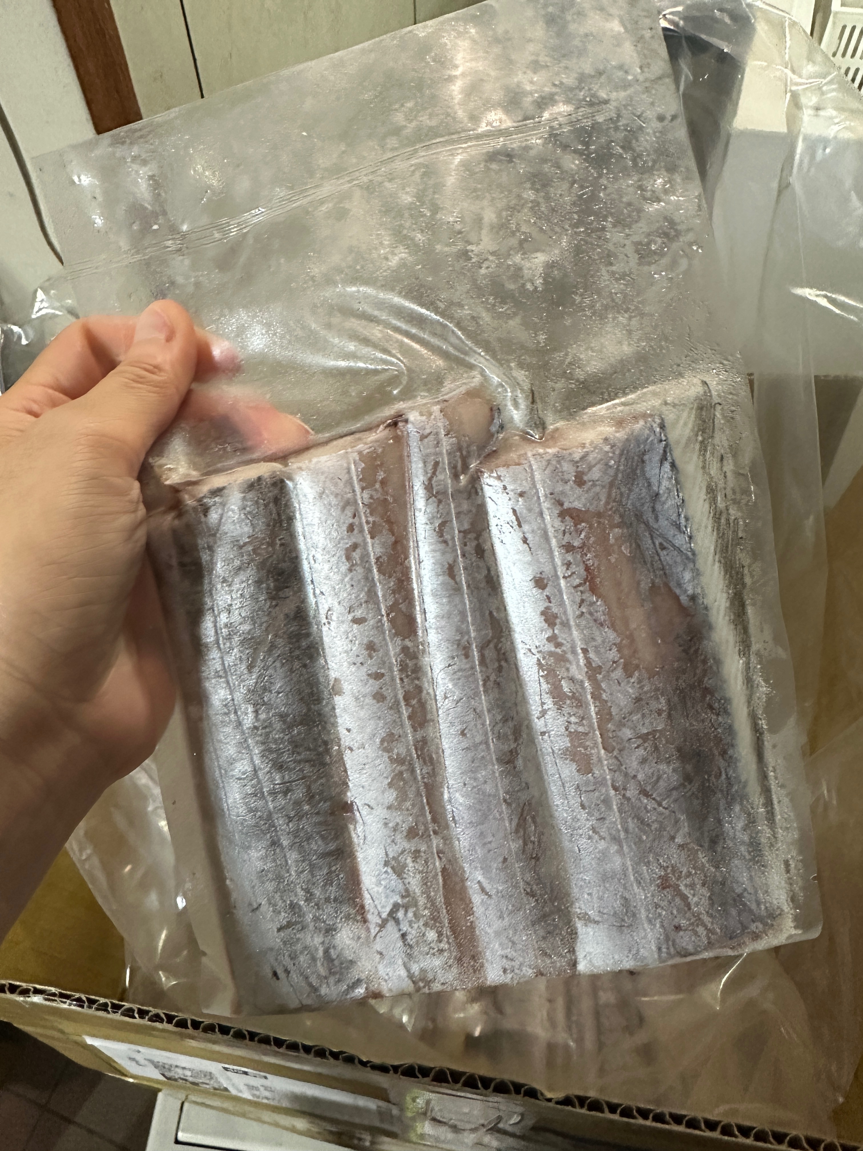 澎湖野生白帶魚