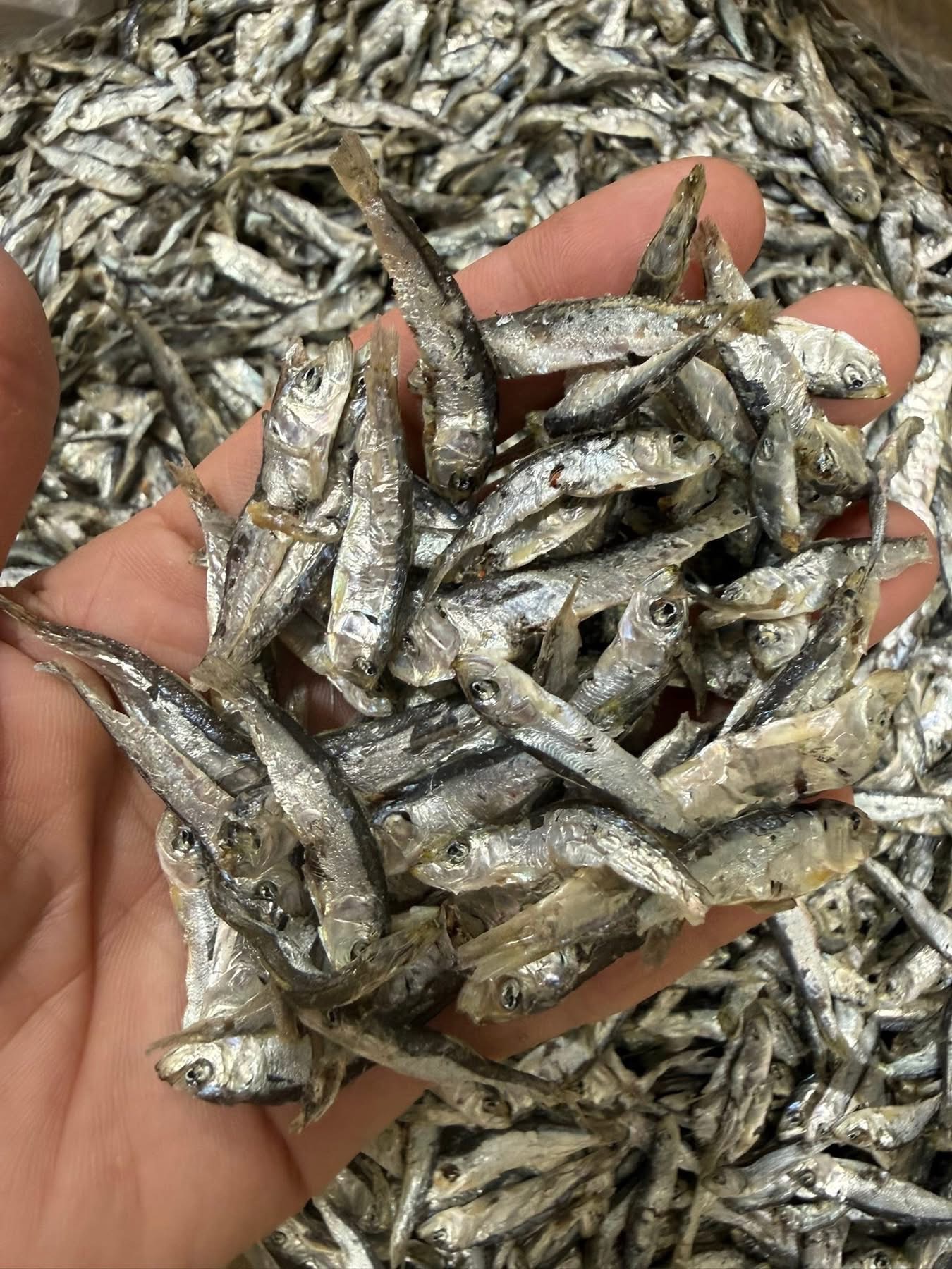 澎湖無調味扁魚干（100g/包）