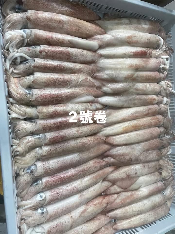 澎湖2號中卷