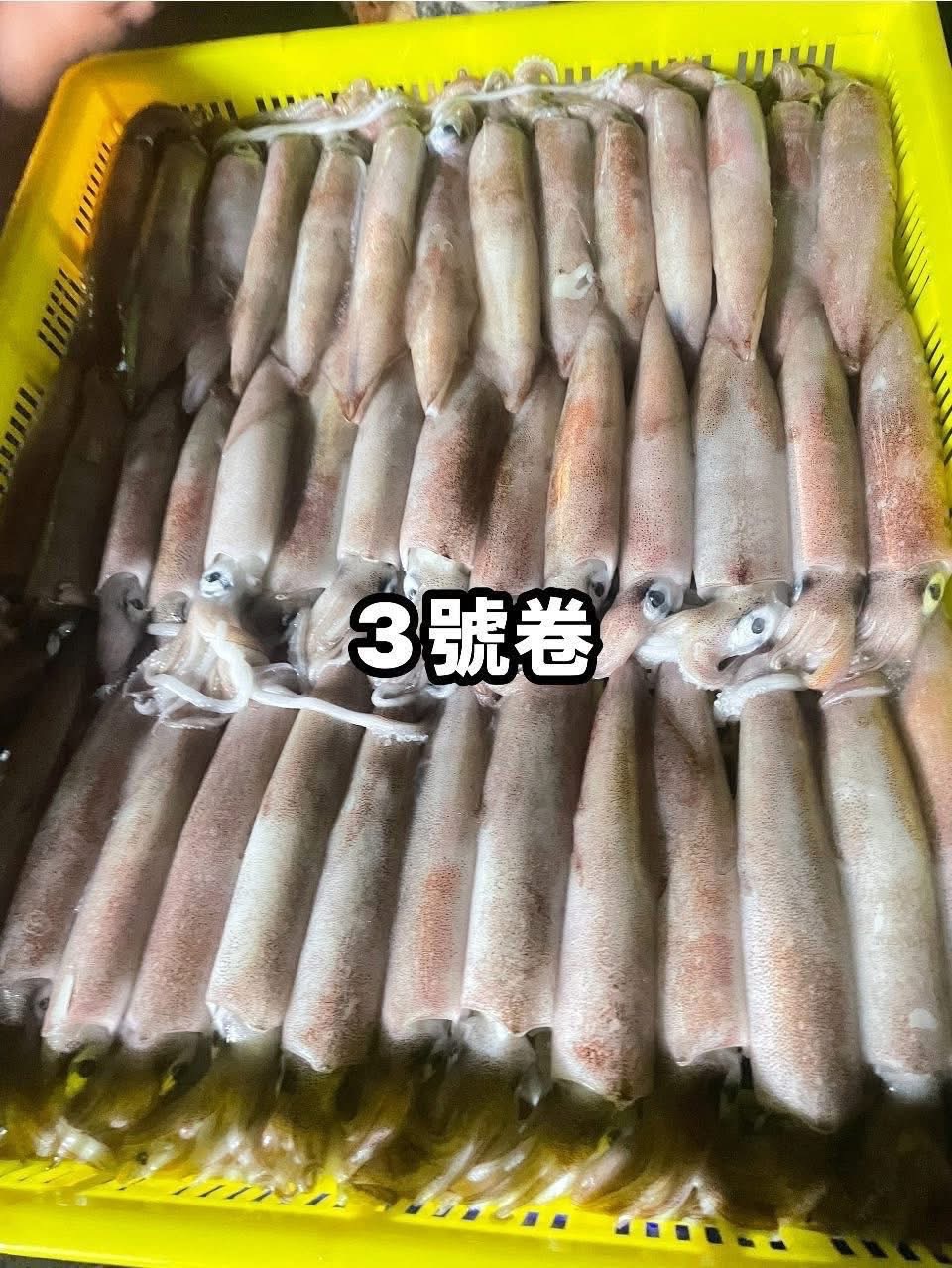 澎湖3號小卷