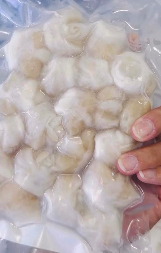澎湖花枝嘴［龍珠］（300g/包）
