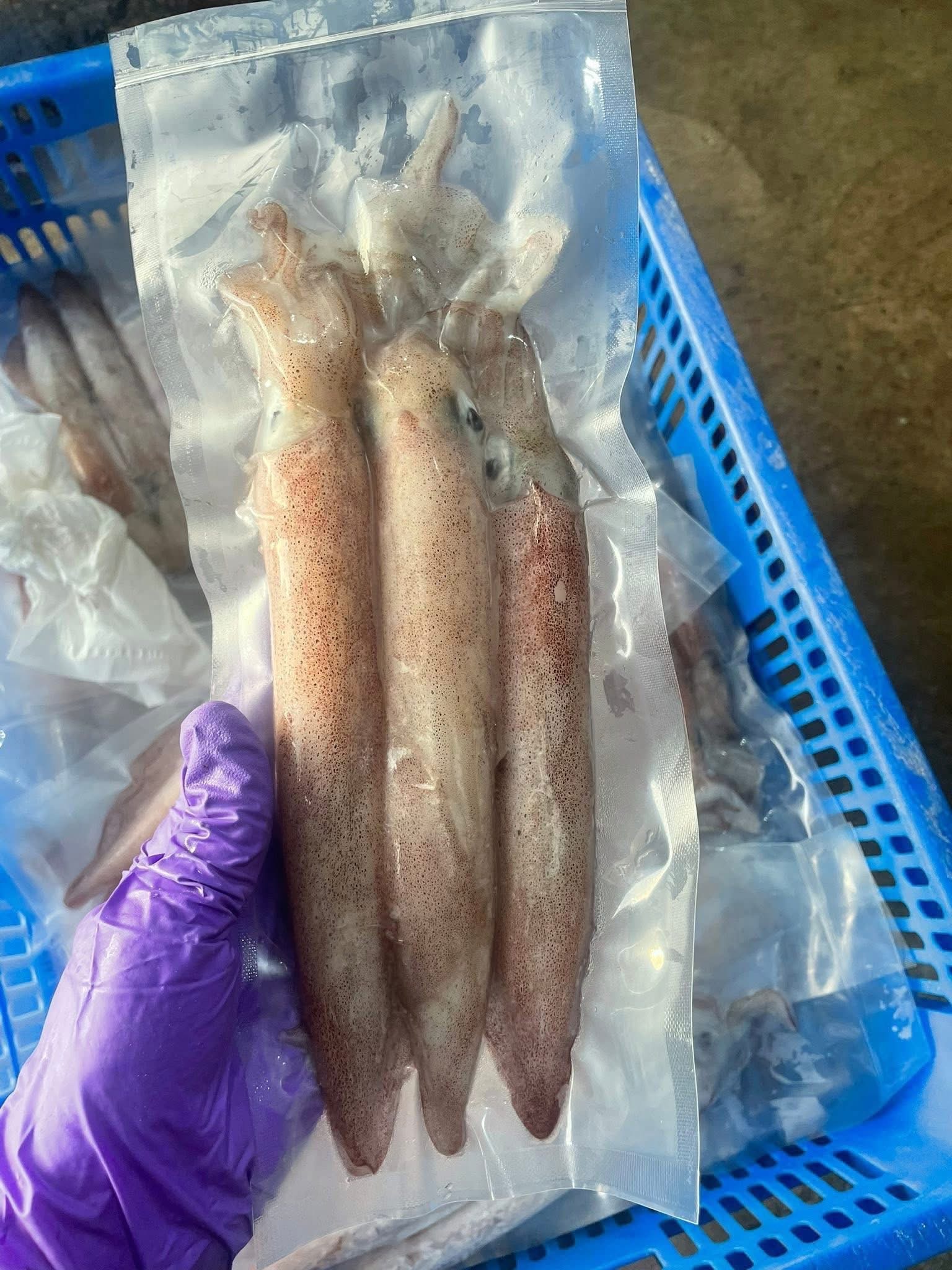 澎湖3號小卷