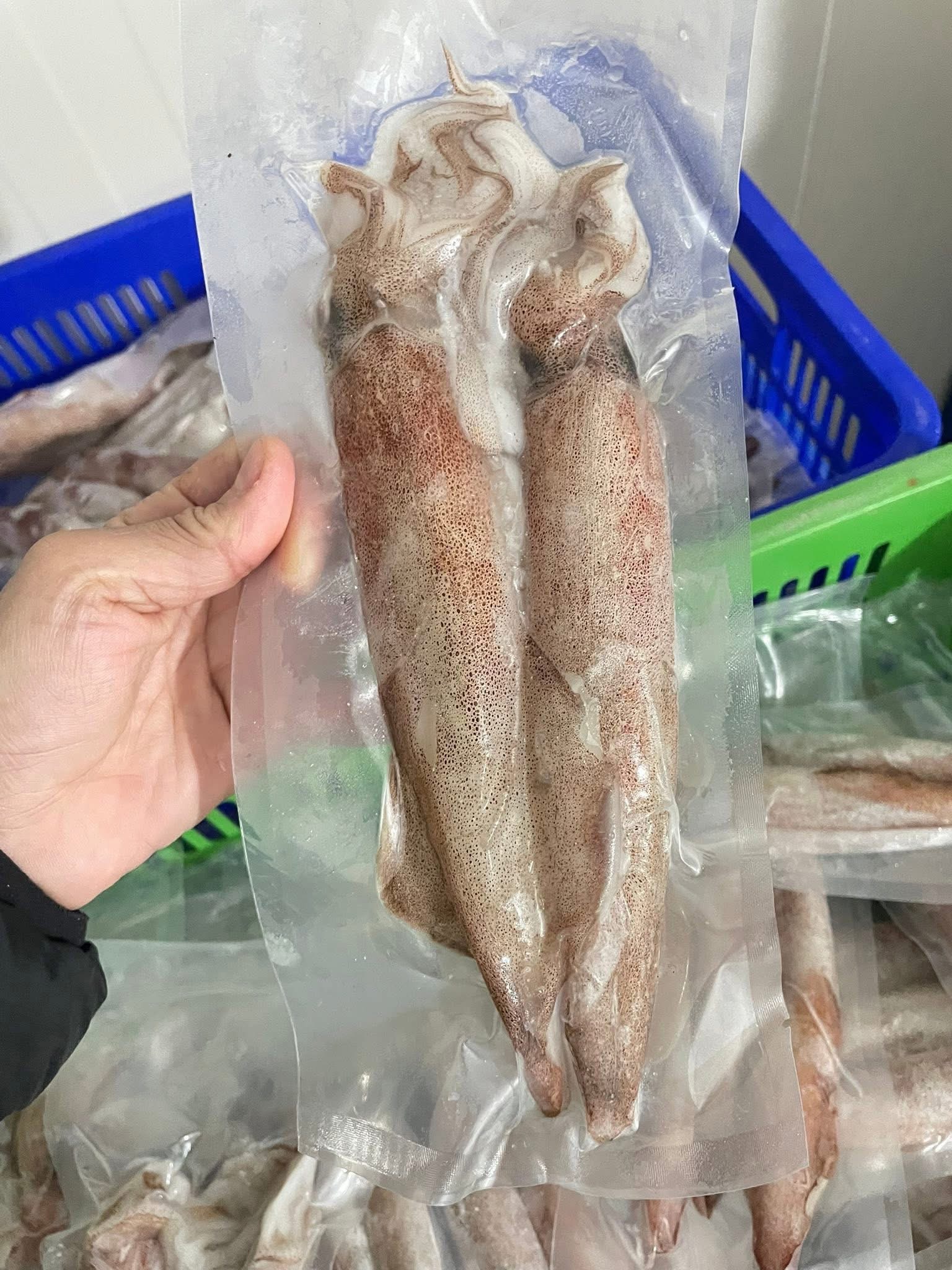 澎湖2號中卷