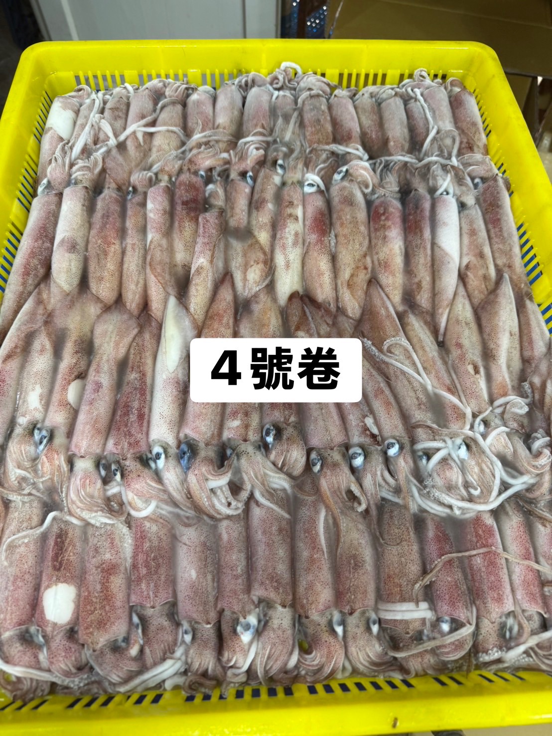 澎湖4號小卷