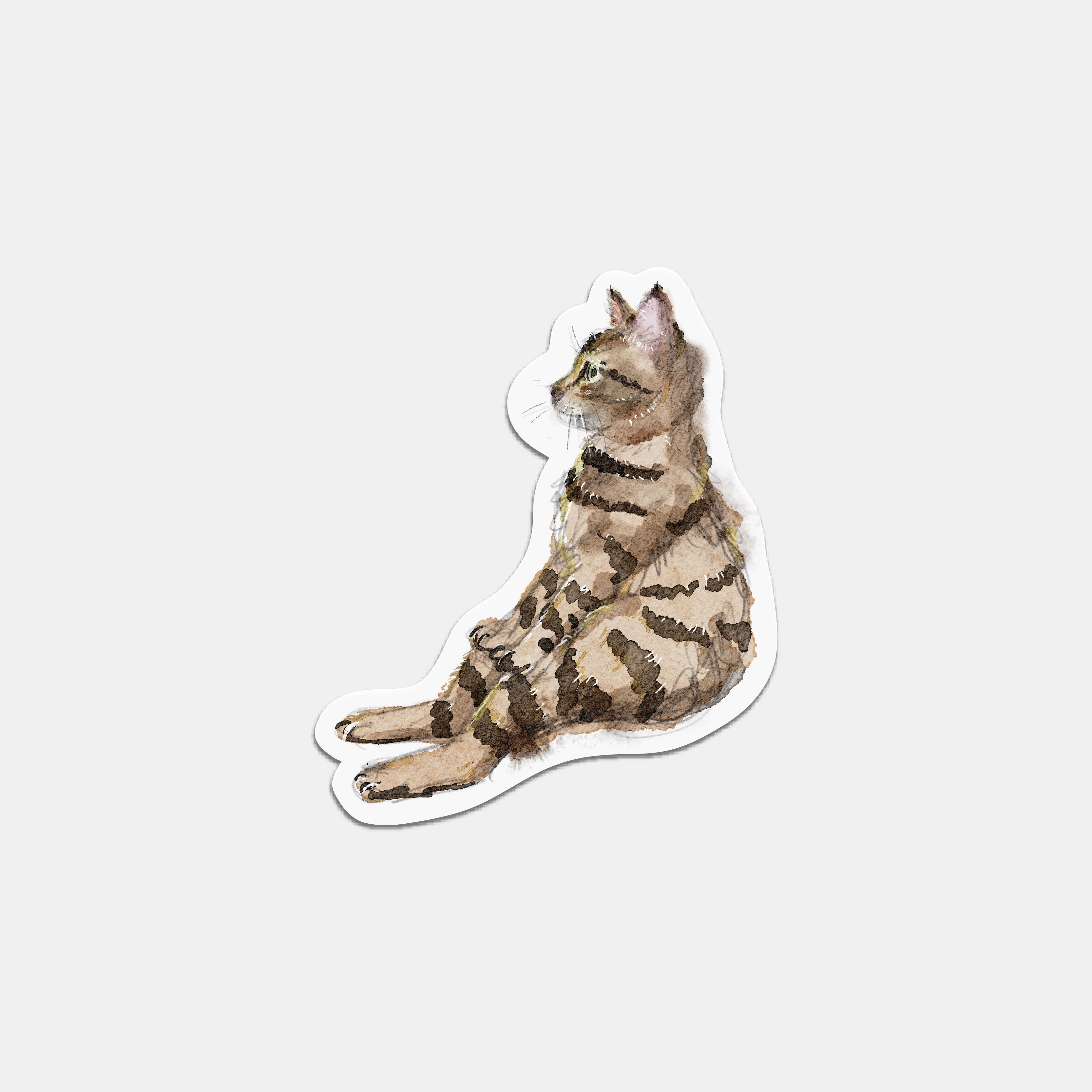 AQUA TABBY - Wave watching 貼紙