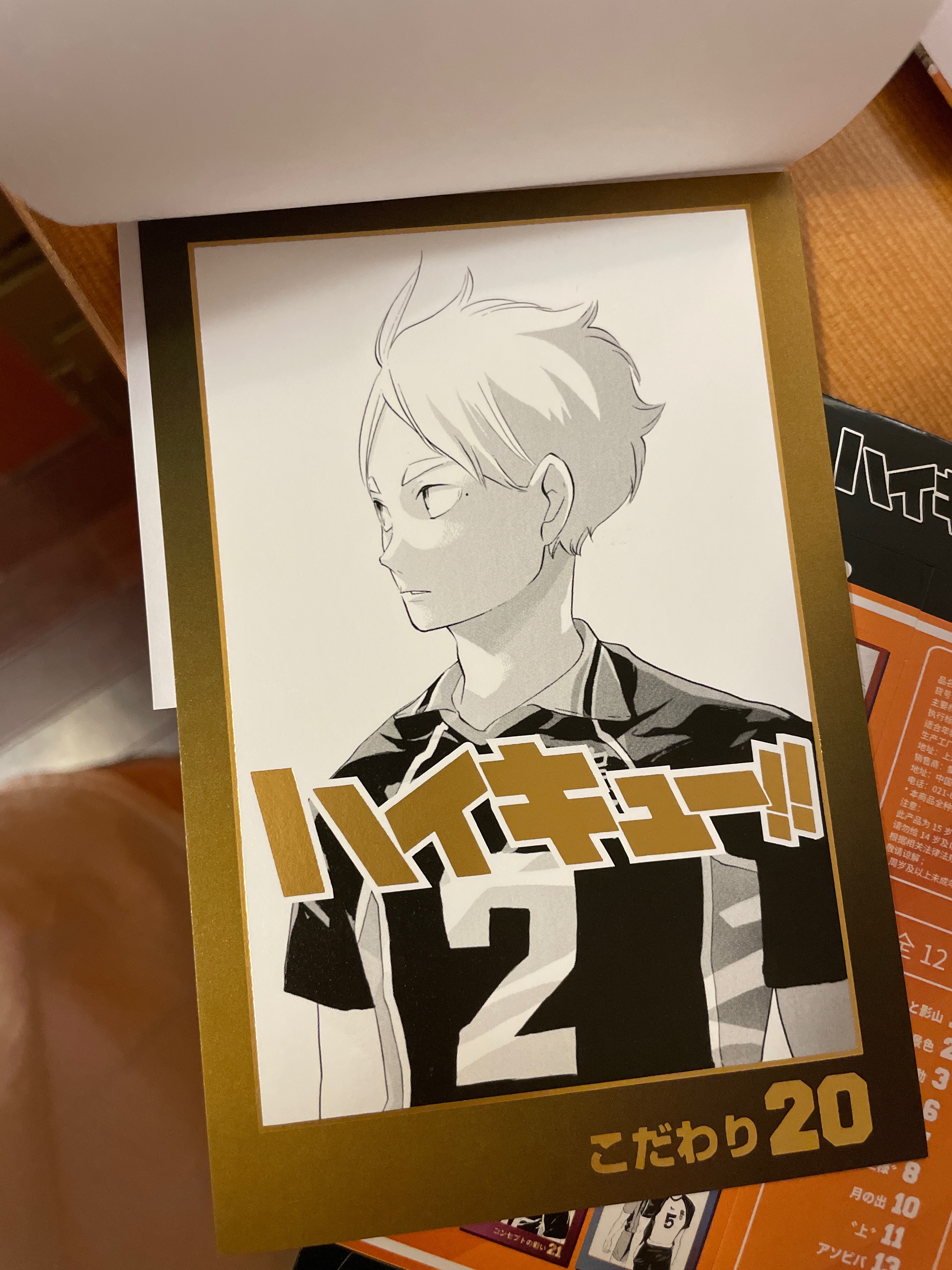 Js燙金明信片-菅原