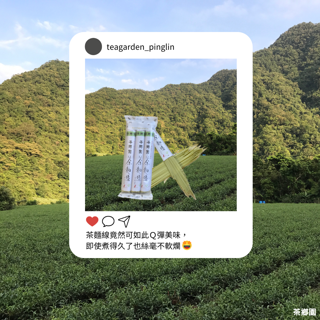茶鄉園 茶葉麵線