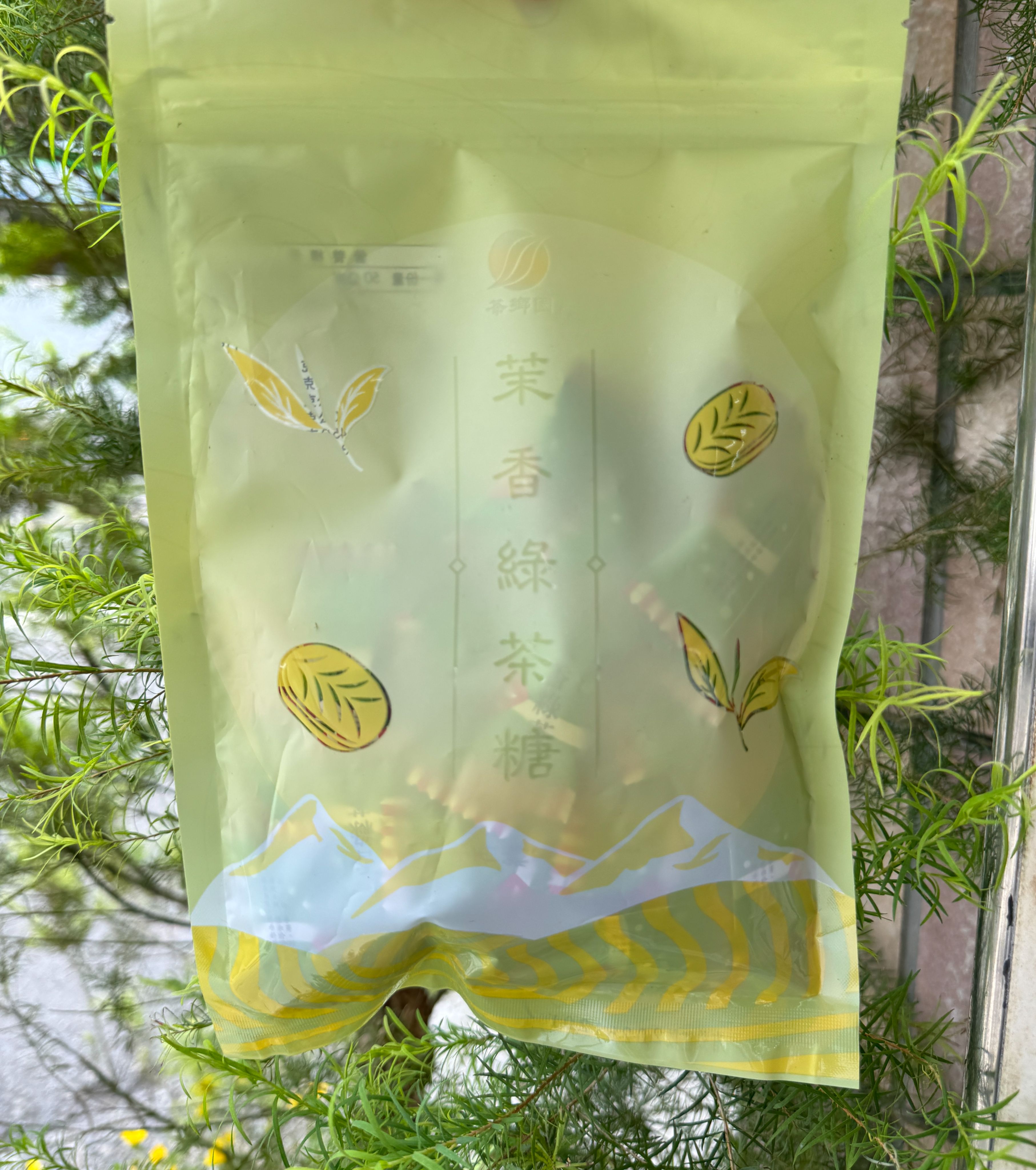 茉香綠茶糖 限量特價中