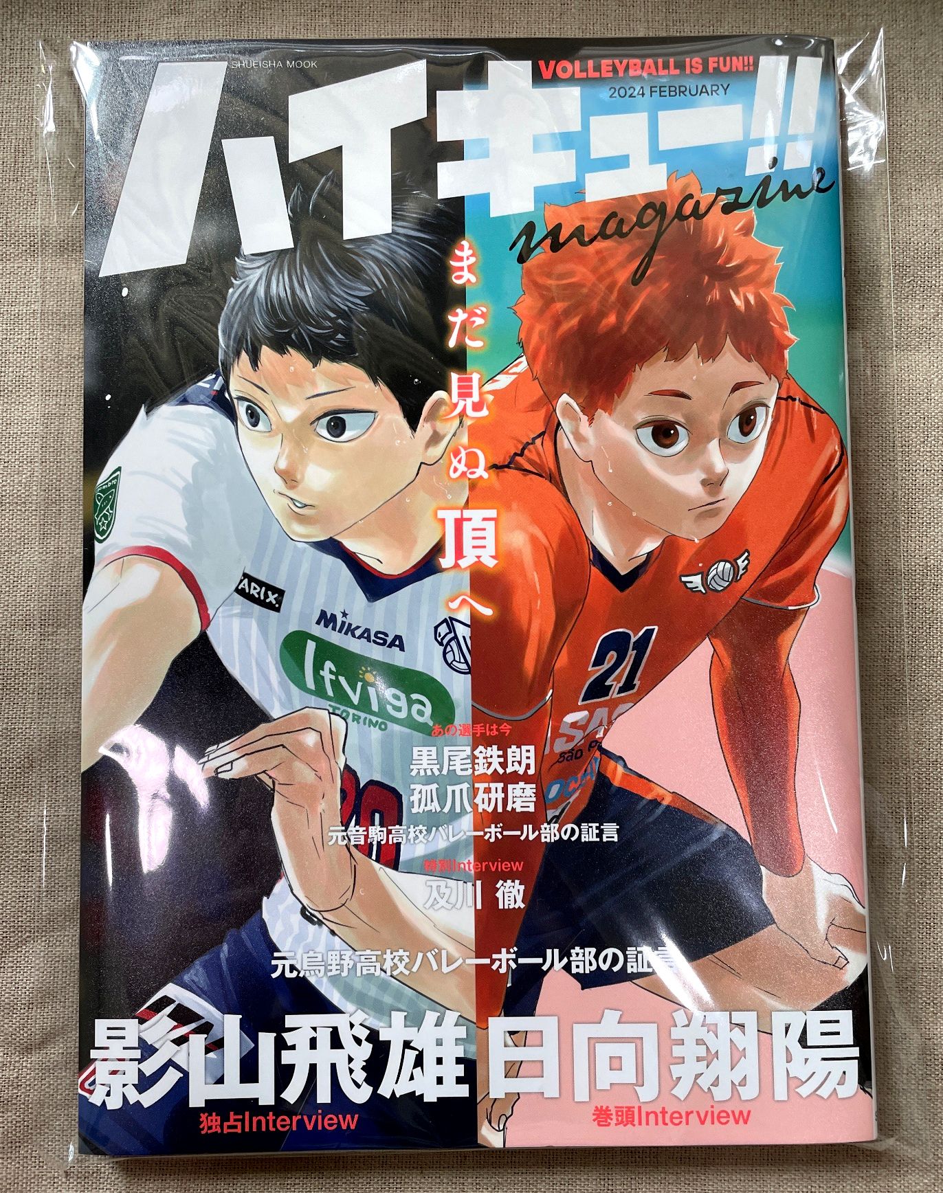 [二手]排球少年！！magazine 2024 FEBRUARY