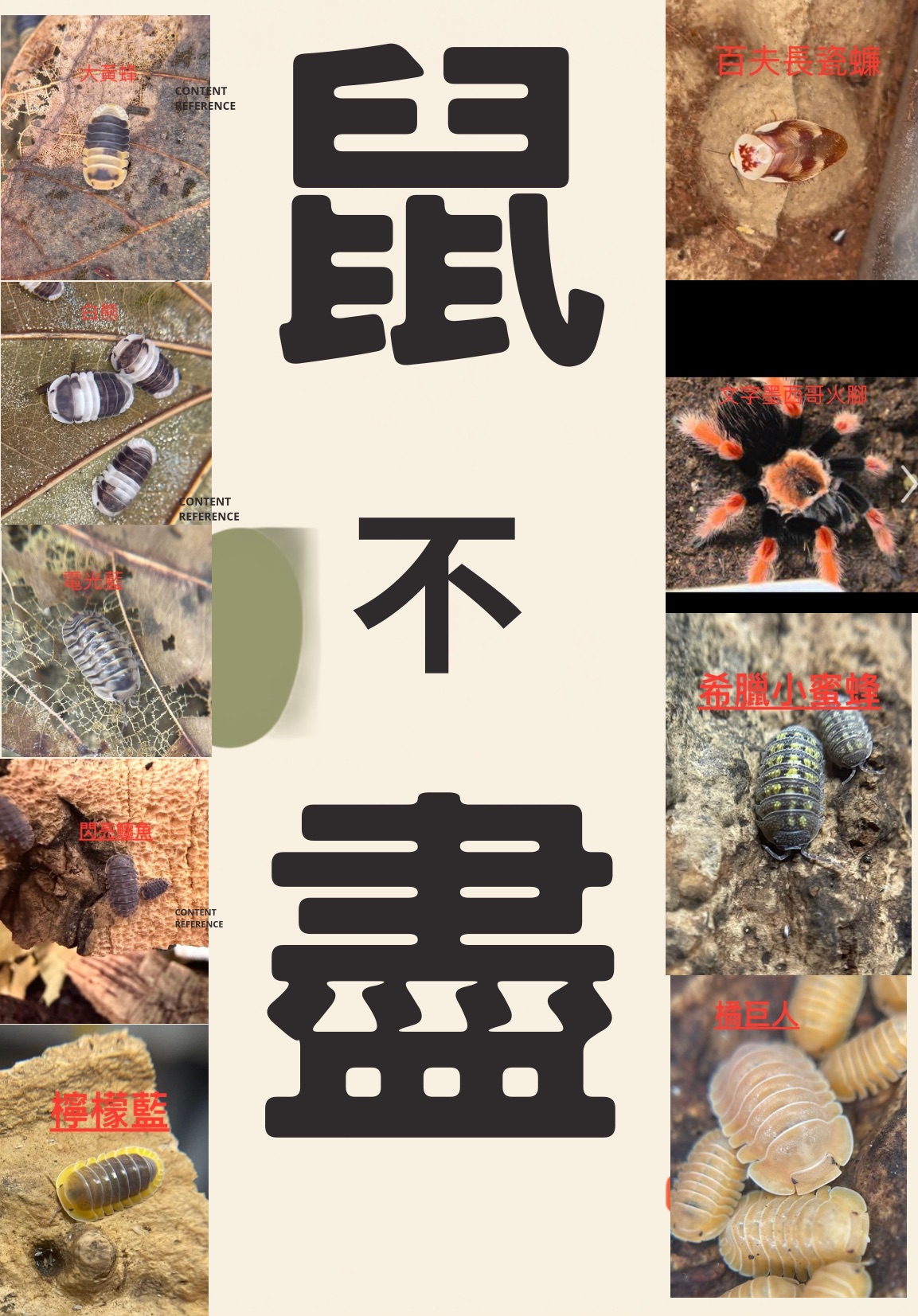 大量專區