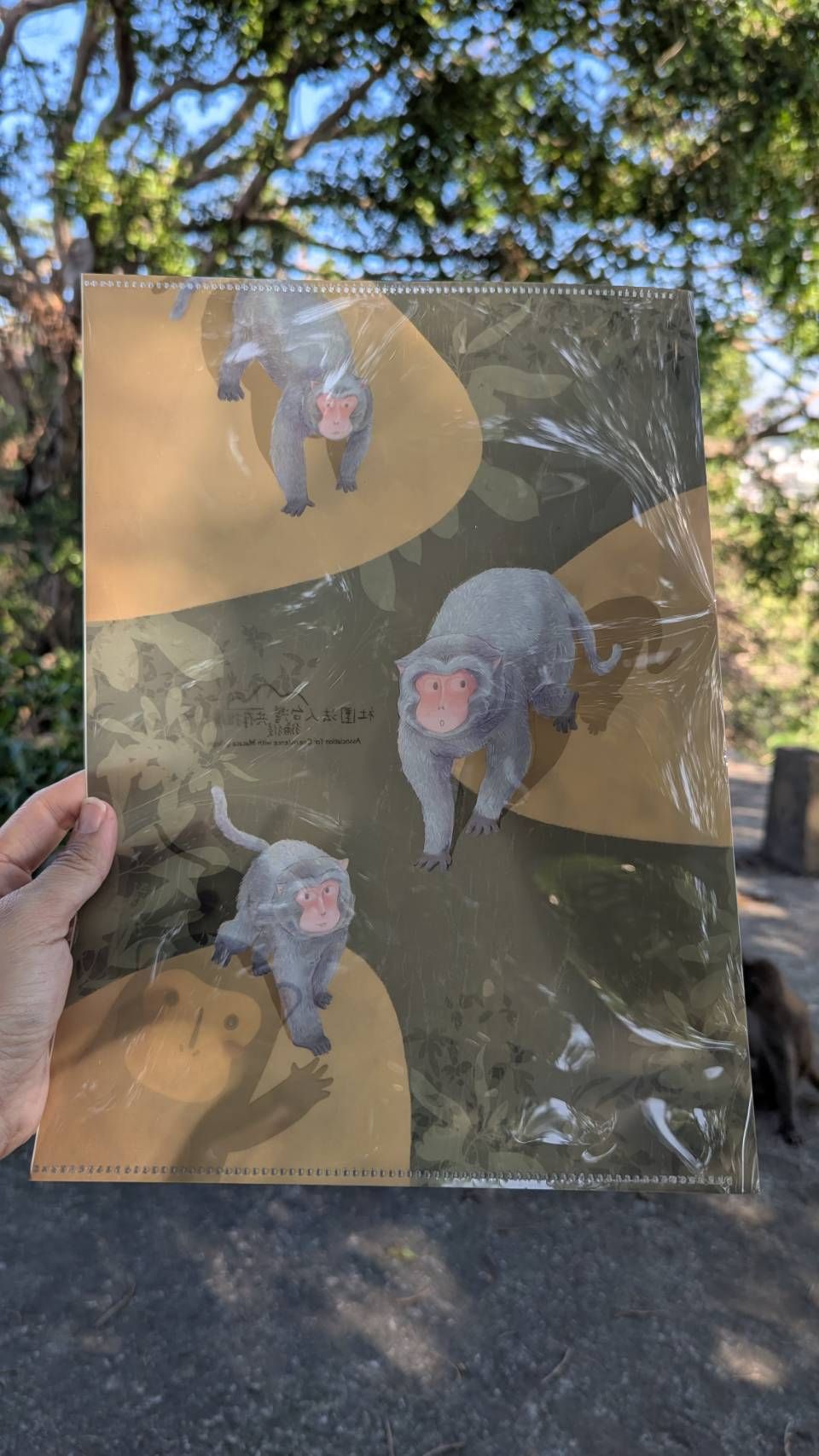 插畫家MAKI聯名資料夾