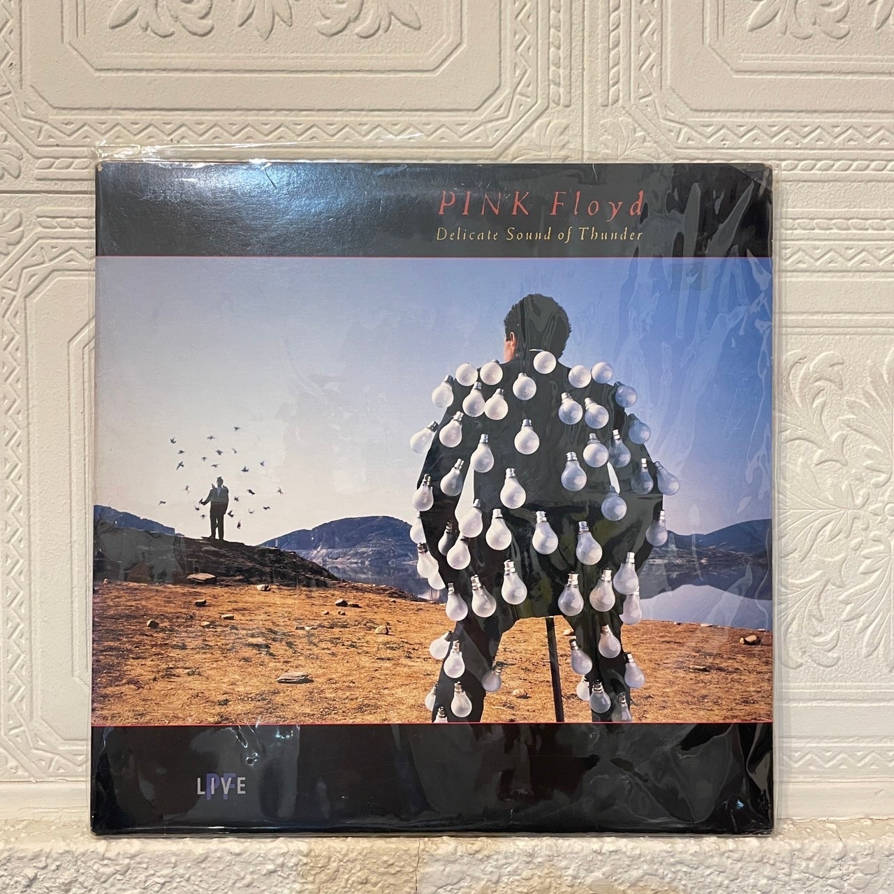 「黑膠」Pink Floyd / 二手黑膠