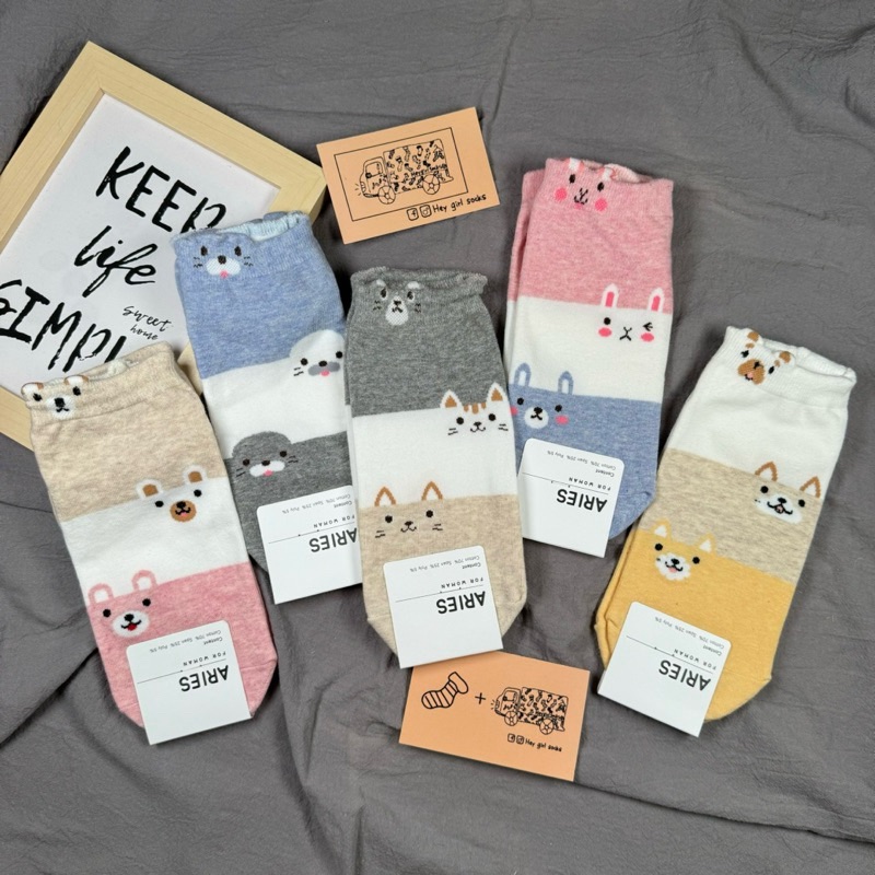 動物短襪 踝襪 韓襪 韓國襪子 可愛襪子 襪子車 襪子 襪襪 Heygirlsocks 襪子車