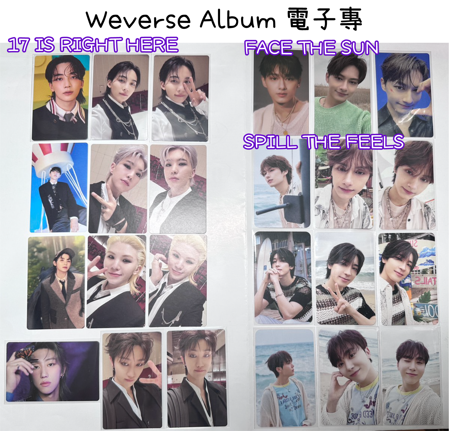 電子專🌟 WVS Album