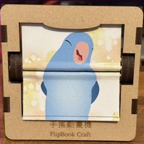 太平洋鸚鵡搖頭