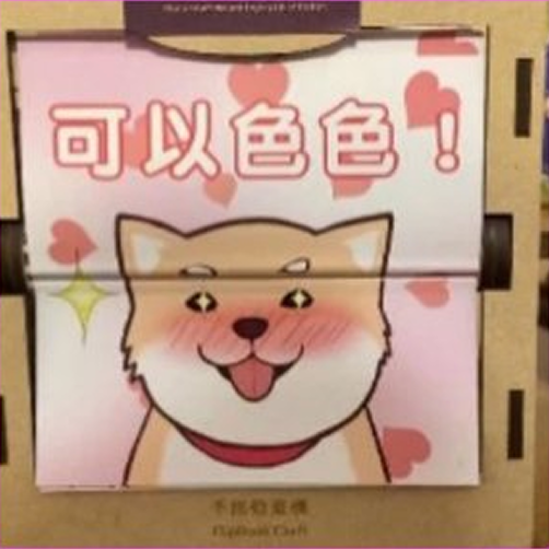 可以色色柴犬