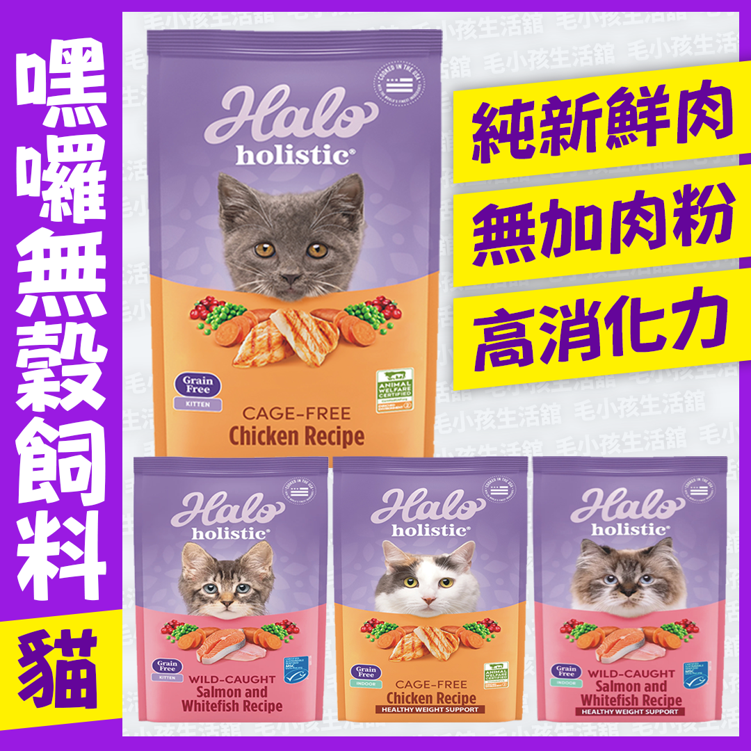 Halo嘿囉 貓糧系列 幼貓 成貓 無穀雞肉 無穀野生鮭魚燉白魚 250G 300G 3LB