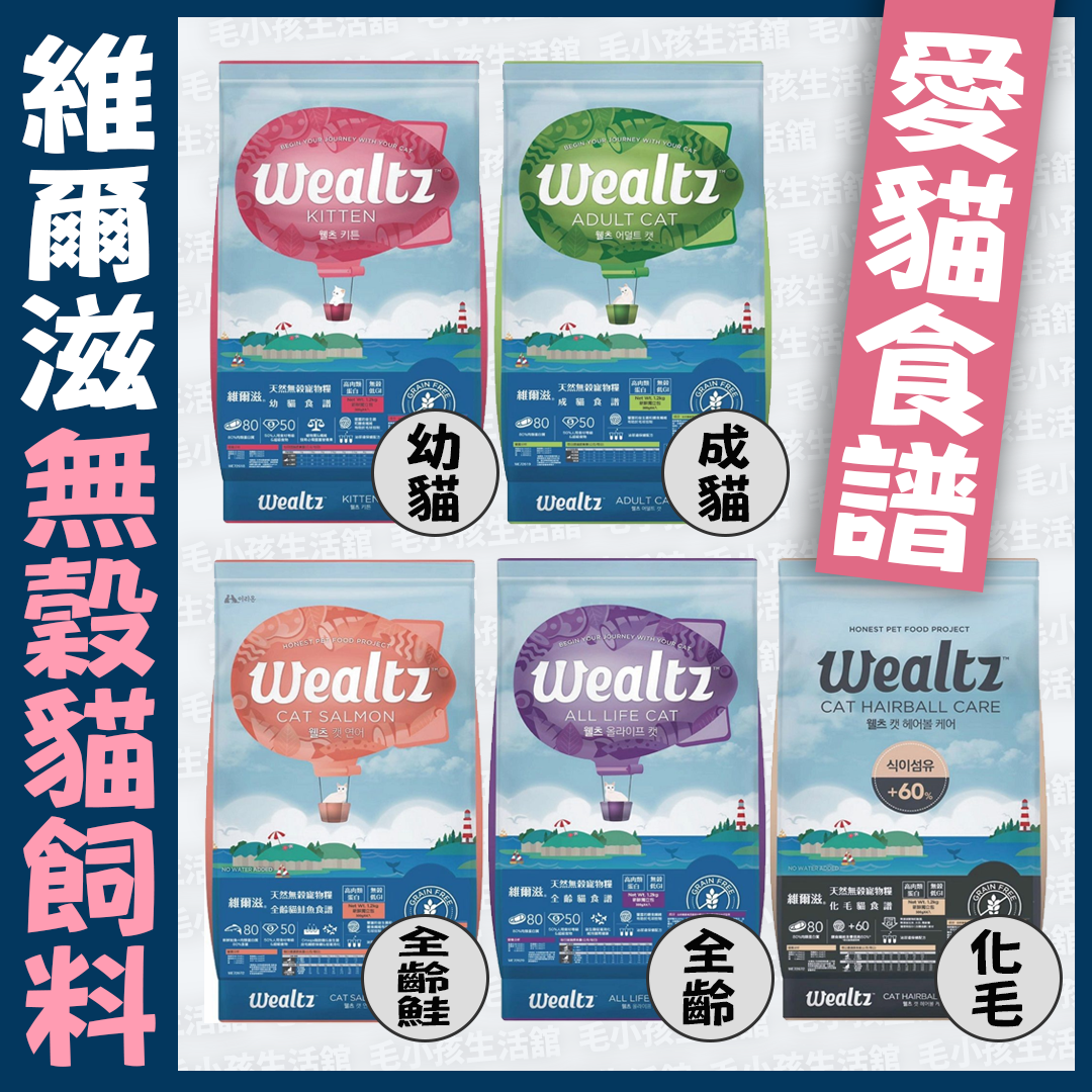 贈送2合1簡約寵物提籃1個 Wealtz 維爾滋 2.1KG 無穀貓飼料 貓糧 幼貓 成貓 全齡貓 化毛貓