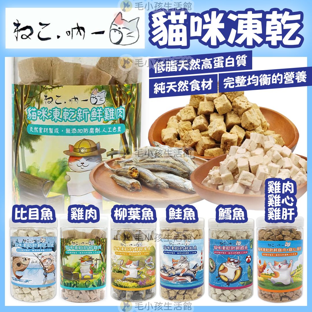 吶一口 貓咪凍乾 貓零食 凍乾零食 鮭魚 鱈魚 柳葉魚 比目魚