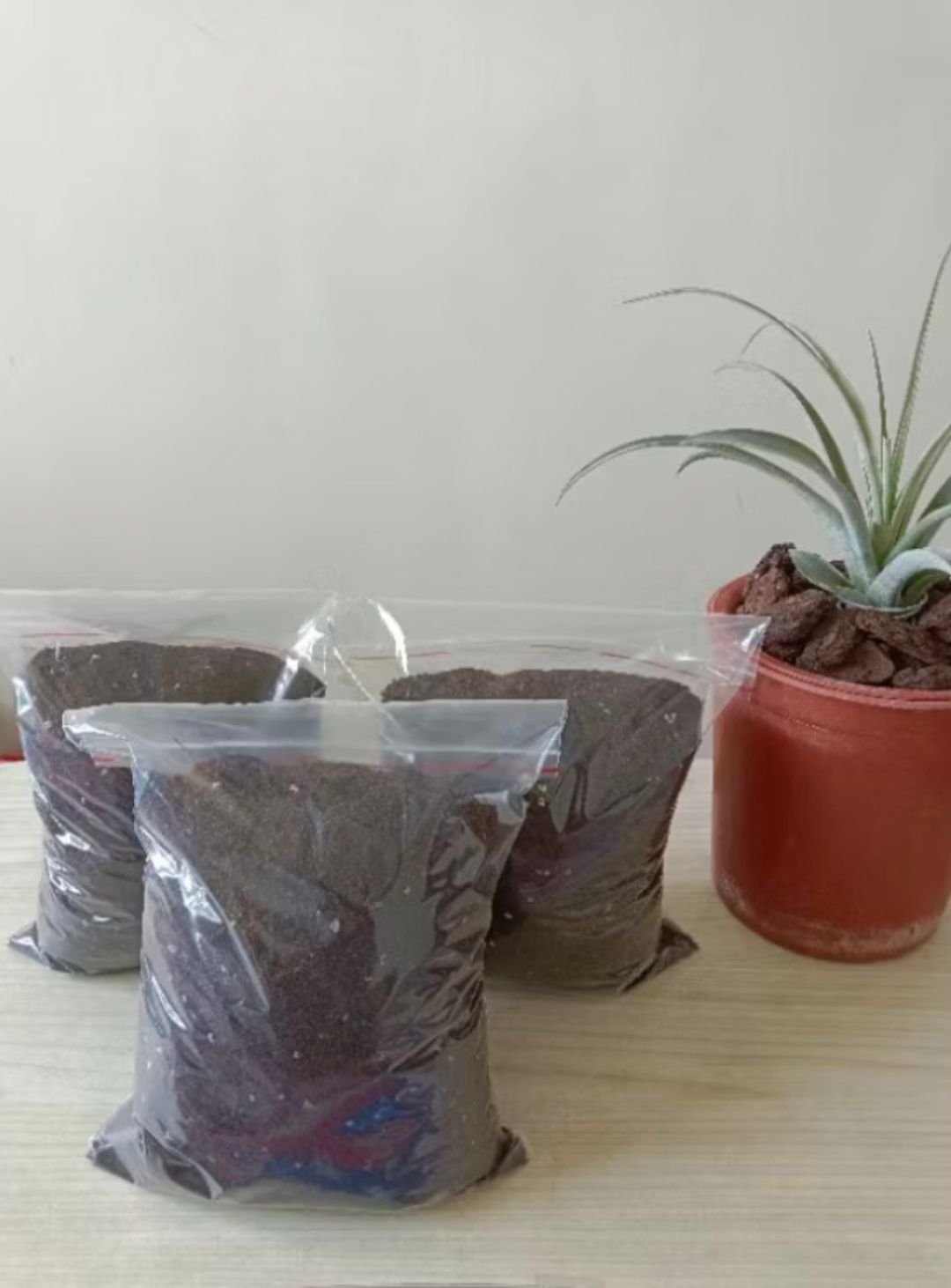 鼠婦飼育土一包