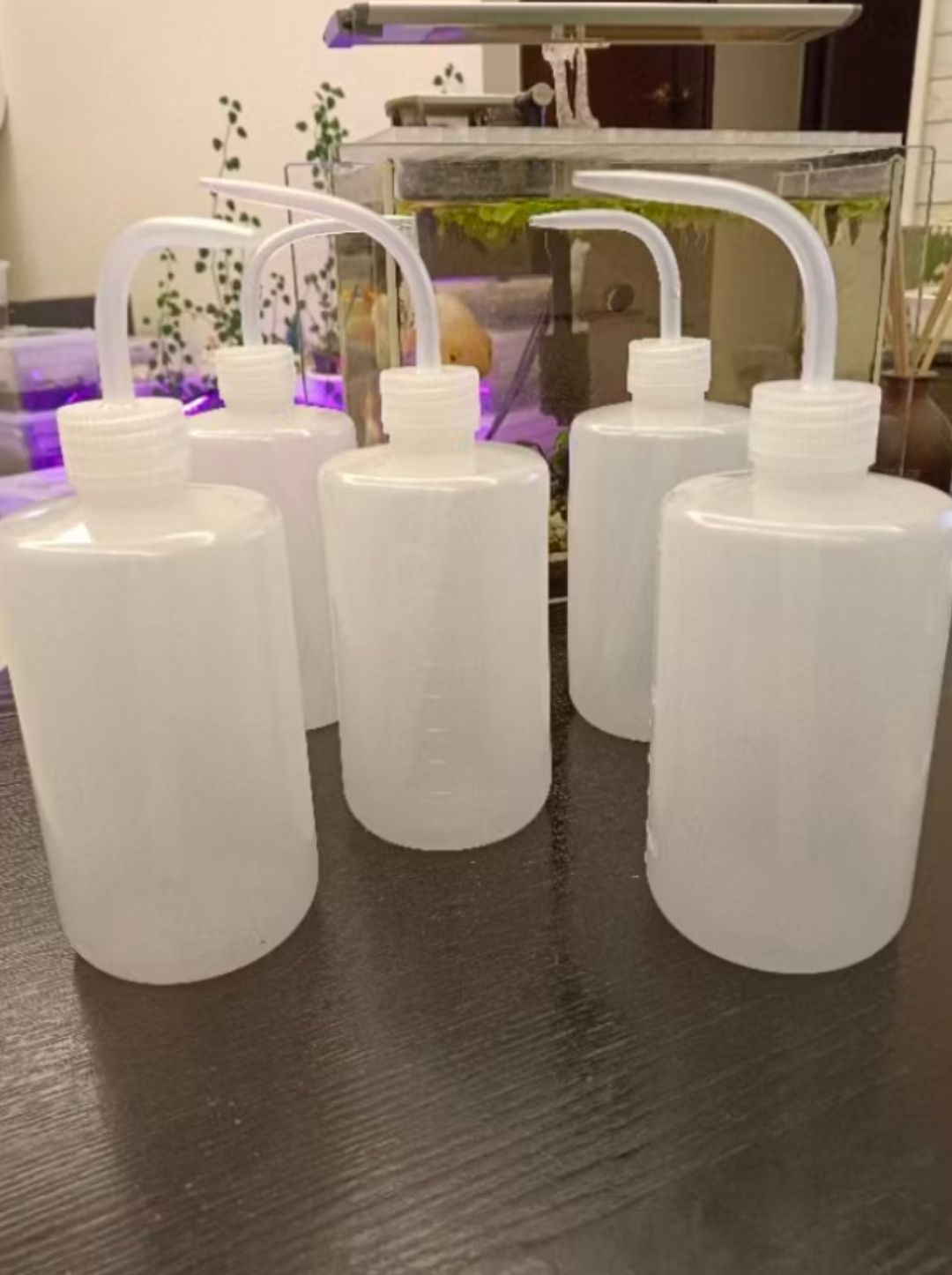 500cc澆水壺一個