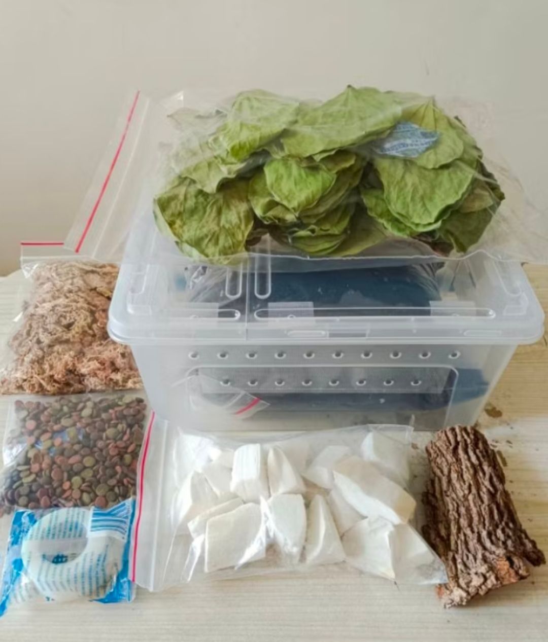 M 號中型飼育盒套裝組（需自行黏貼透氣孔）