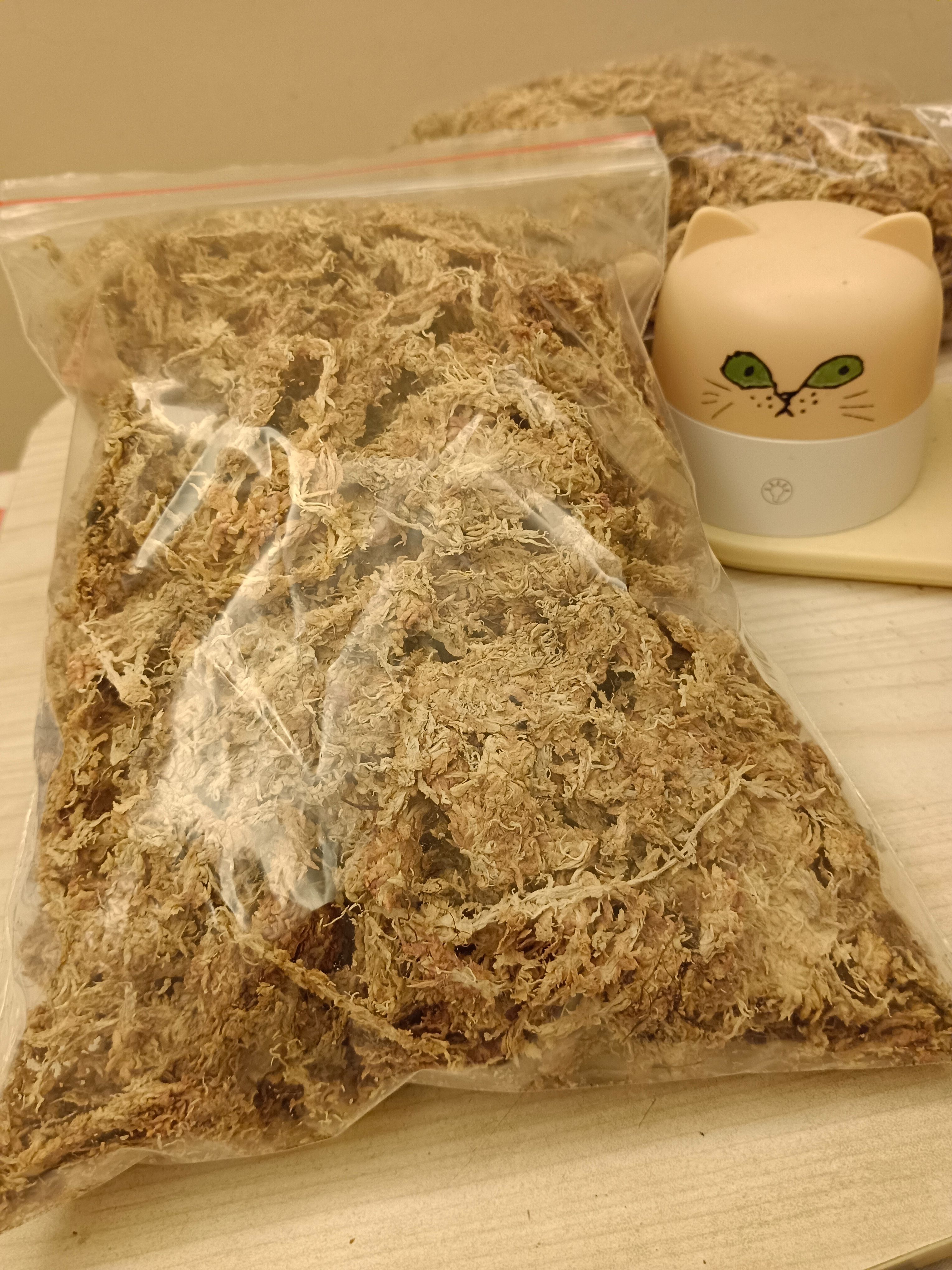 智利乾燥水苔一包50公克（儲水保濕）