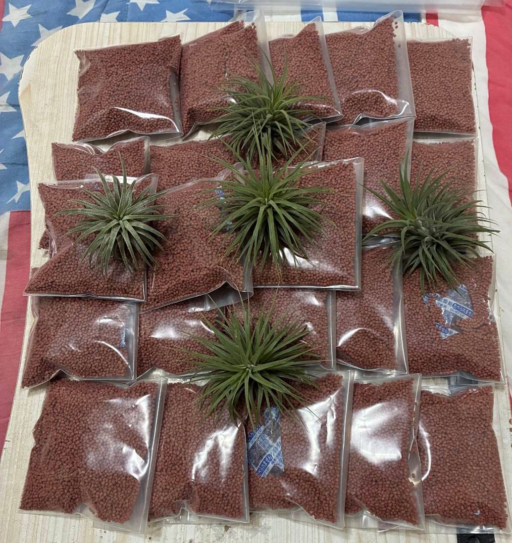 鼠婦補充蛋白質鮮蝦增艷細顆粒飼料