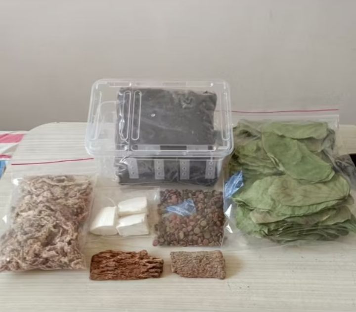 S小型鼠婦飼育套裝組（長19、寬12.5、高7.5公分）