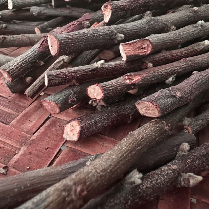 蘋果枝 蘋果木 天然蘋果枝 蘋果樹枝 蜜袋鼯磨牙棒  兔鼠磨牙棒  蘋果肯木 木頭 磨牙木 蘋果