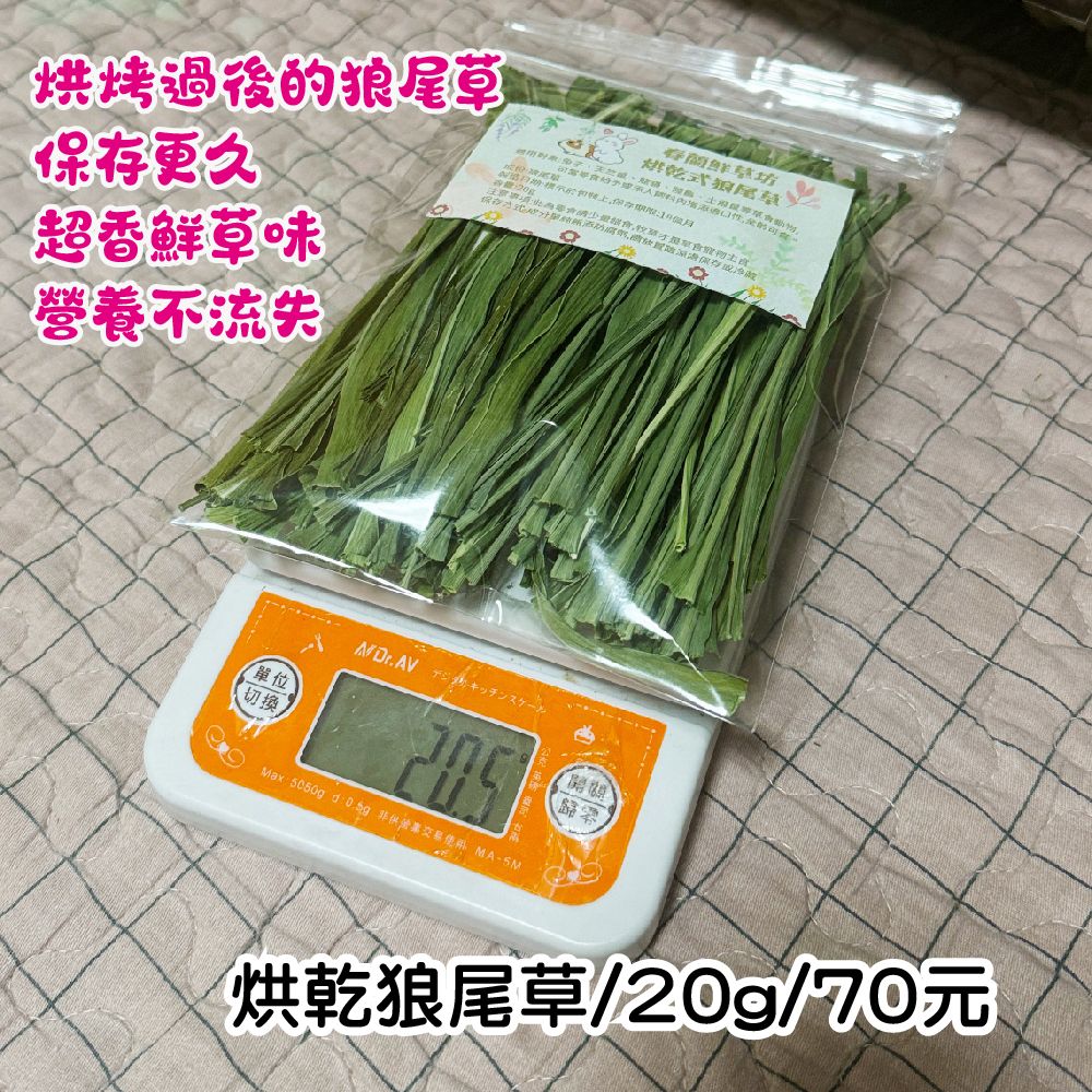 烘乾式狼尾草  ｜  自家小菜園自種  狼尾草 天竺鼠 兔子 寵物鼠 寵物兔 很愛吃喔~