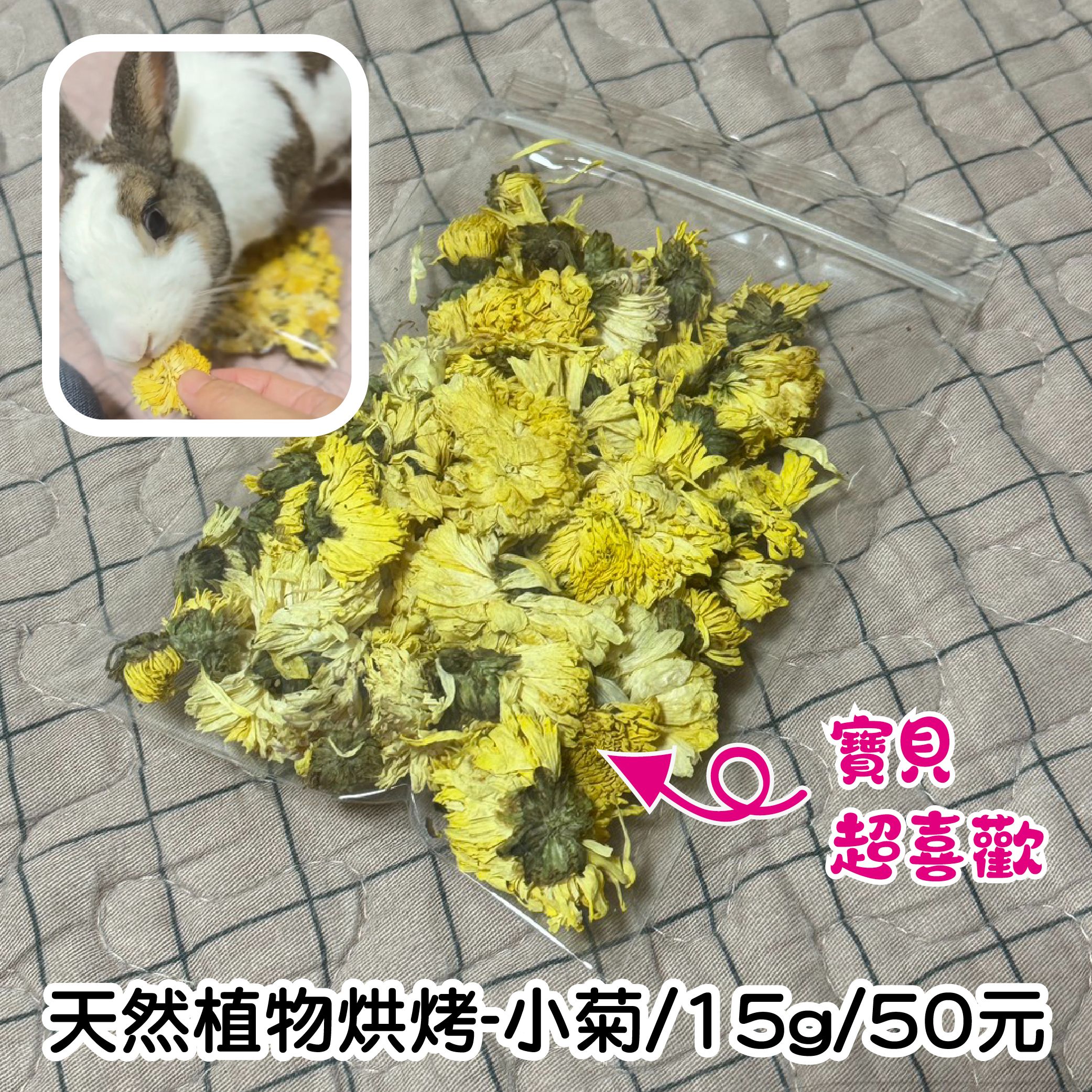 ※春蘭鮮草坊※自家小果園栽種菊花·保健花草 兔子草 兔子花草 天竺鼠花草 龍貓花草