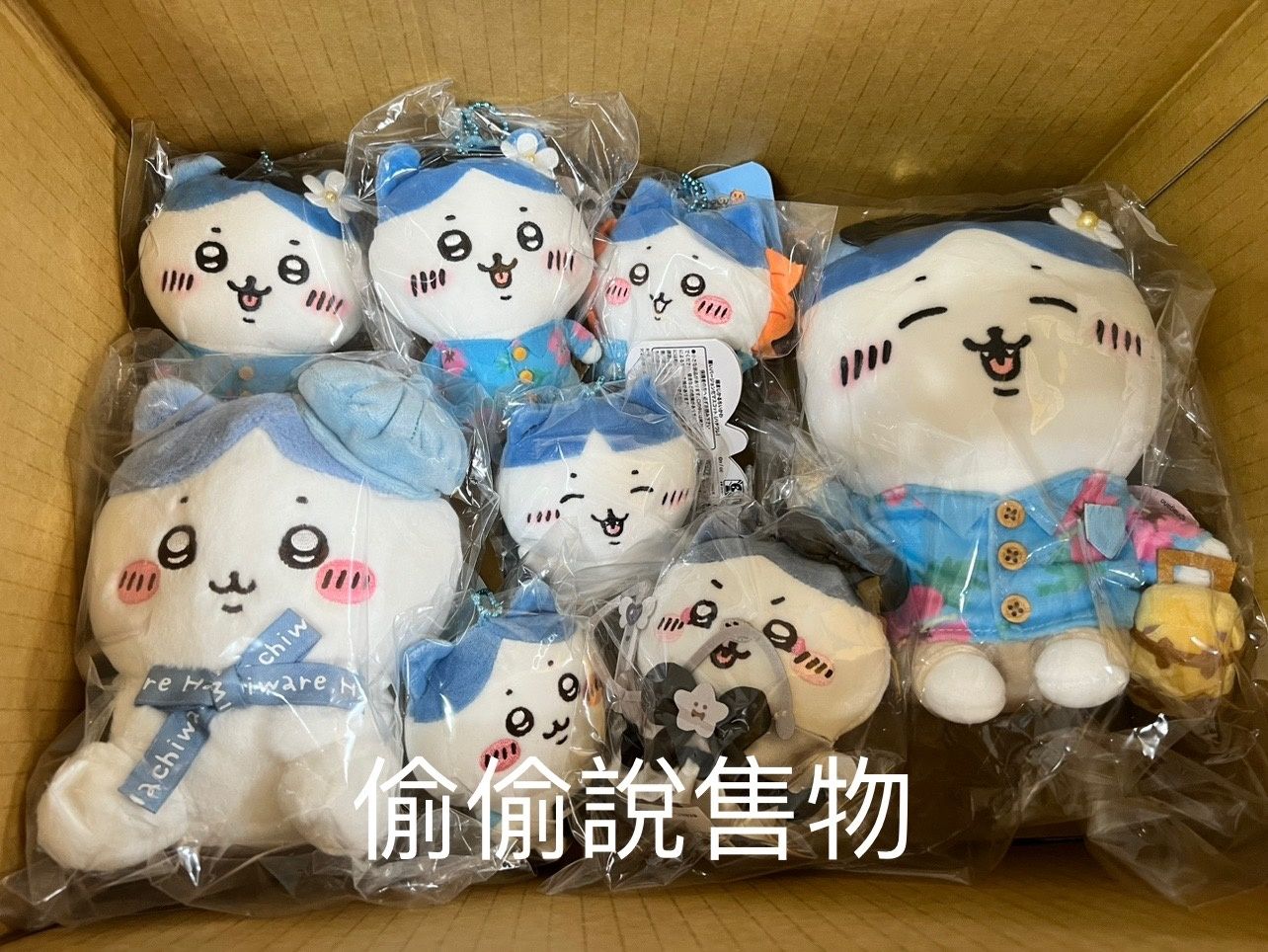 只當綁物，不可單獨下單