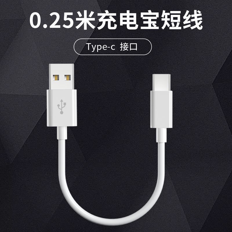 0.25米充電寶短線