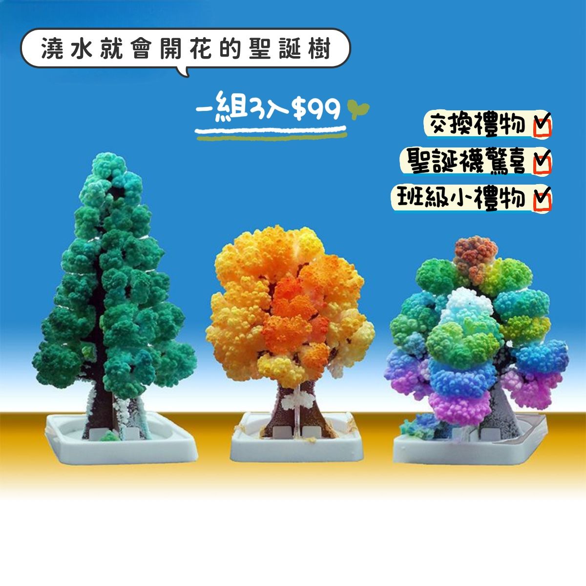 澆水開花聖誕樹