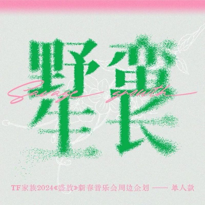 TF四代野蠻生長單人款