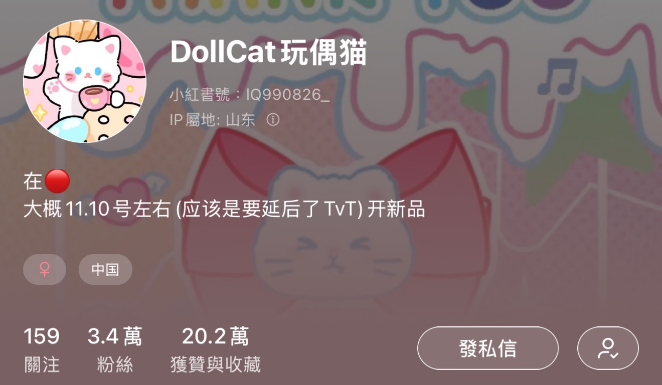 DollCat玩偶貓（✅可當捆物）