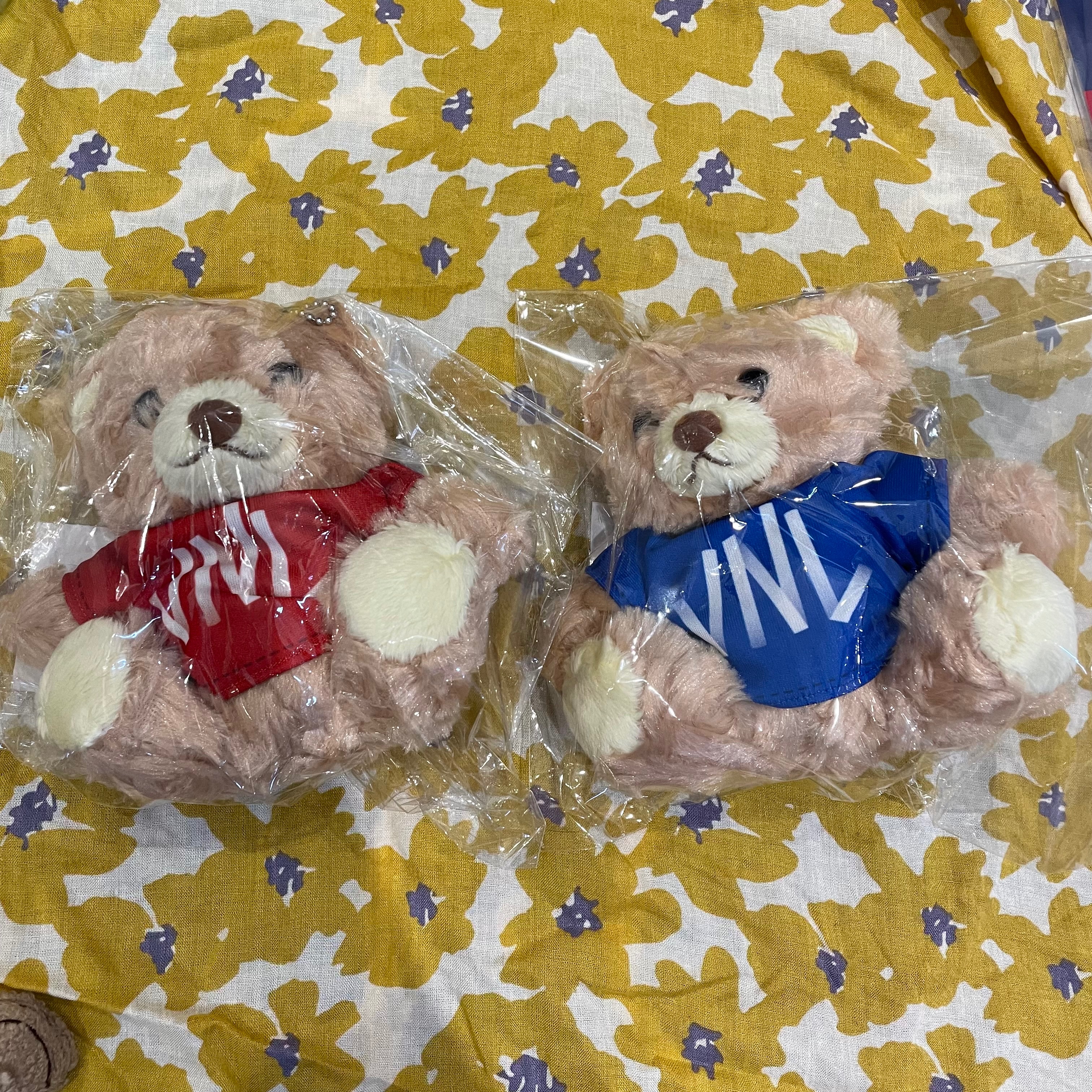 VNL 小熊