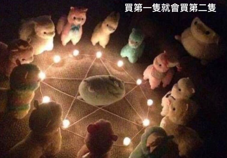 手續費提醒（未下標者取消訂單！）